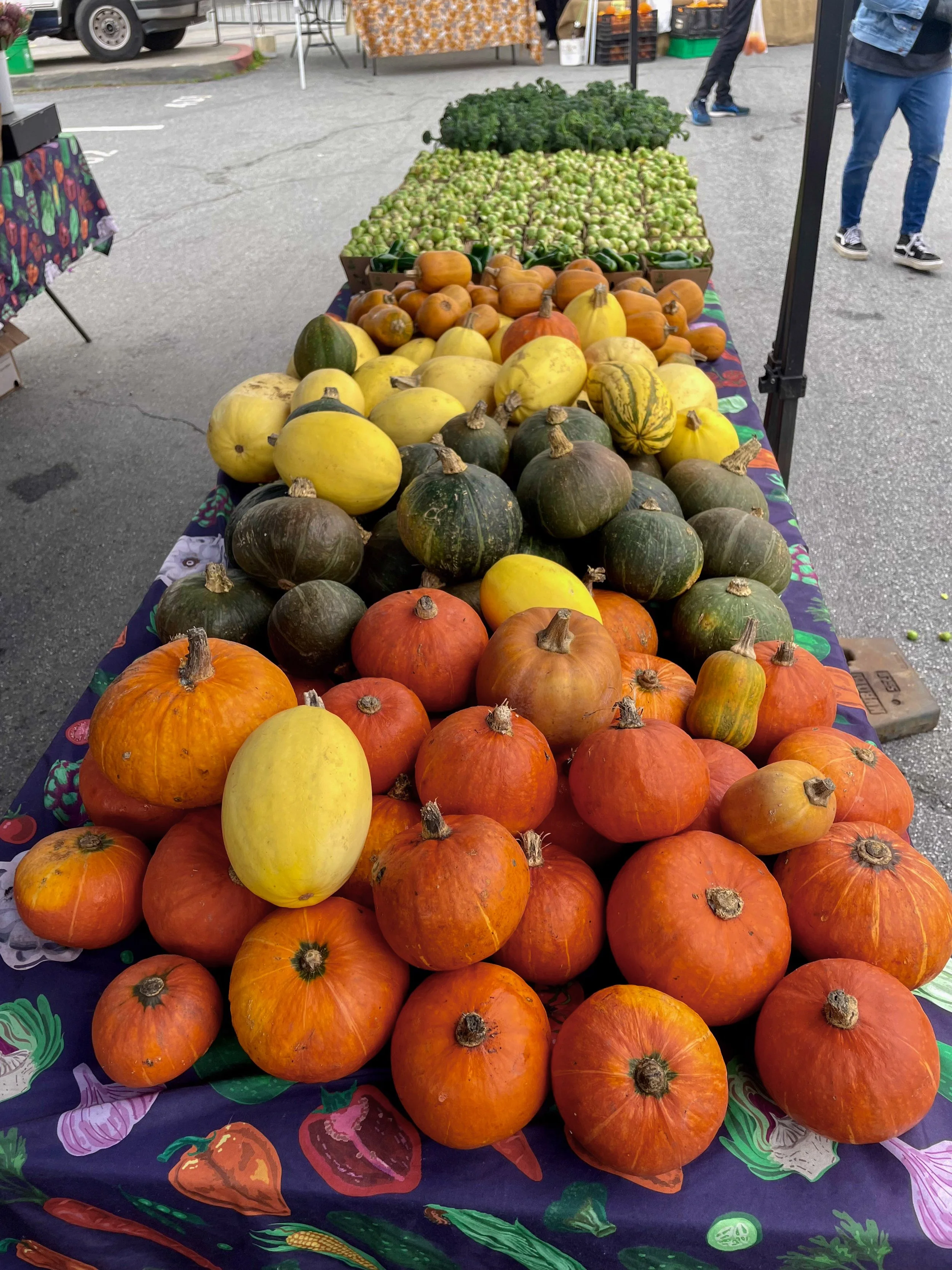 Table displaying a variety of colorful pumpkins and gourds at an outdoor market.