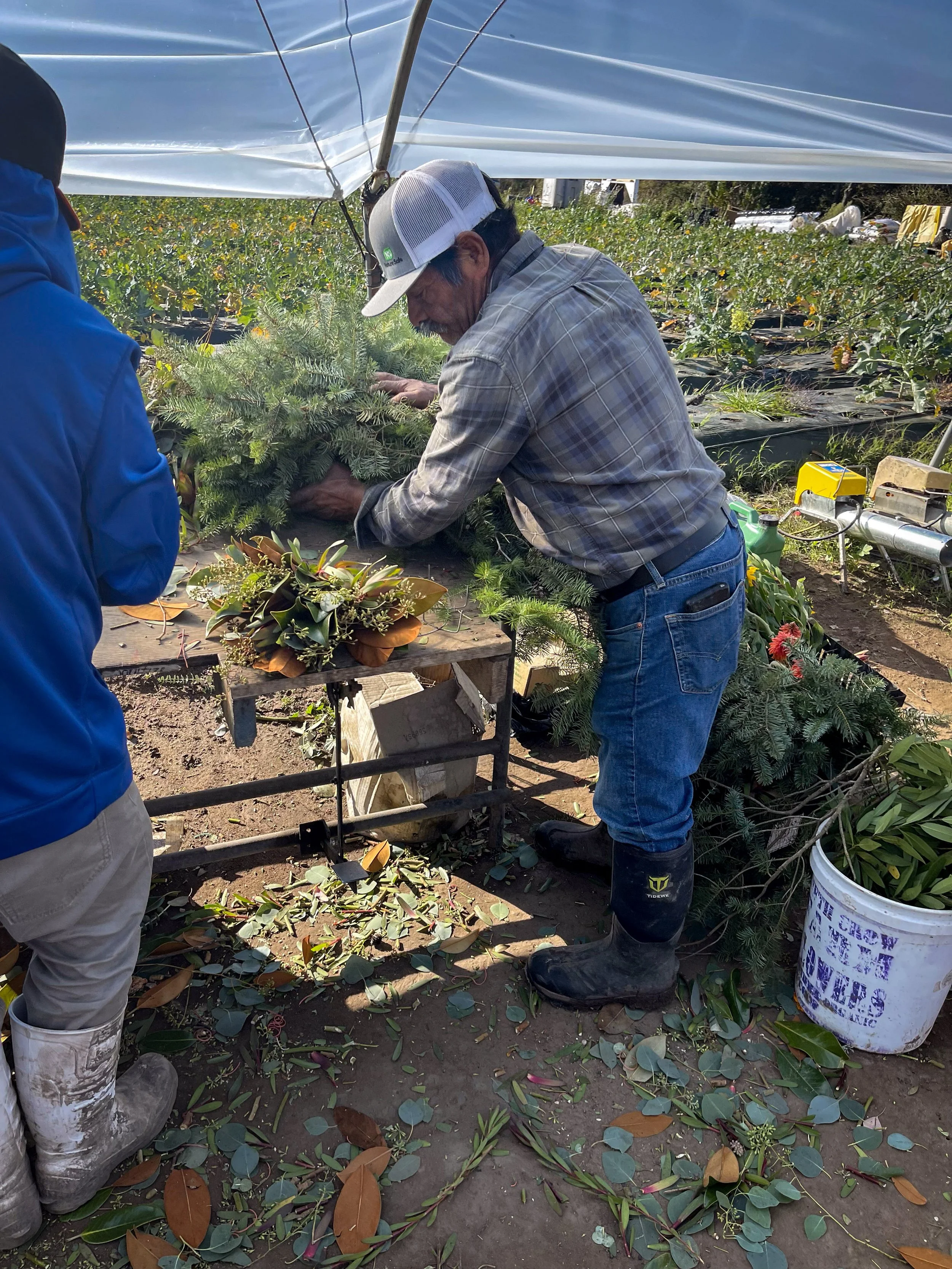 Two men are working on a Christmas tree under a tent, placing it in a box. One is wearing a baseball cap, plaid shirt, jeans, and boots. The other has a blue jacket and boots. The ground is covered with fallen leaves and greenery. In the background, 