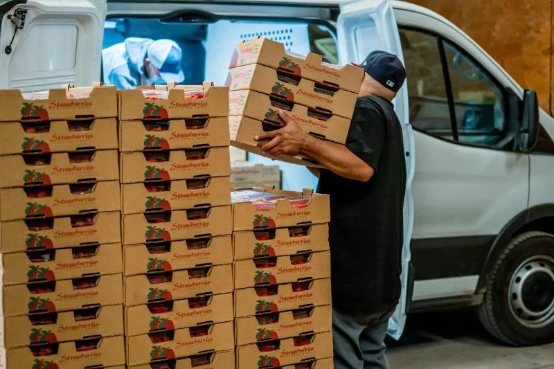 A man in a black shirt and cap stacking strawberry boxes near a white delivery van with open back door, filled with more boxes of strawberries.