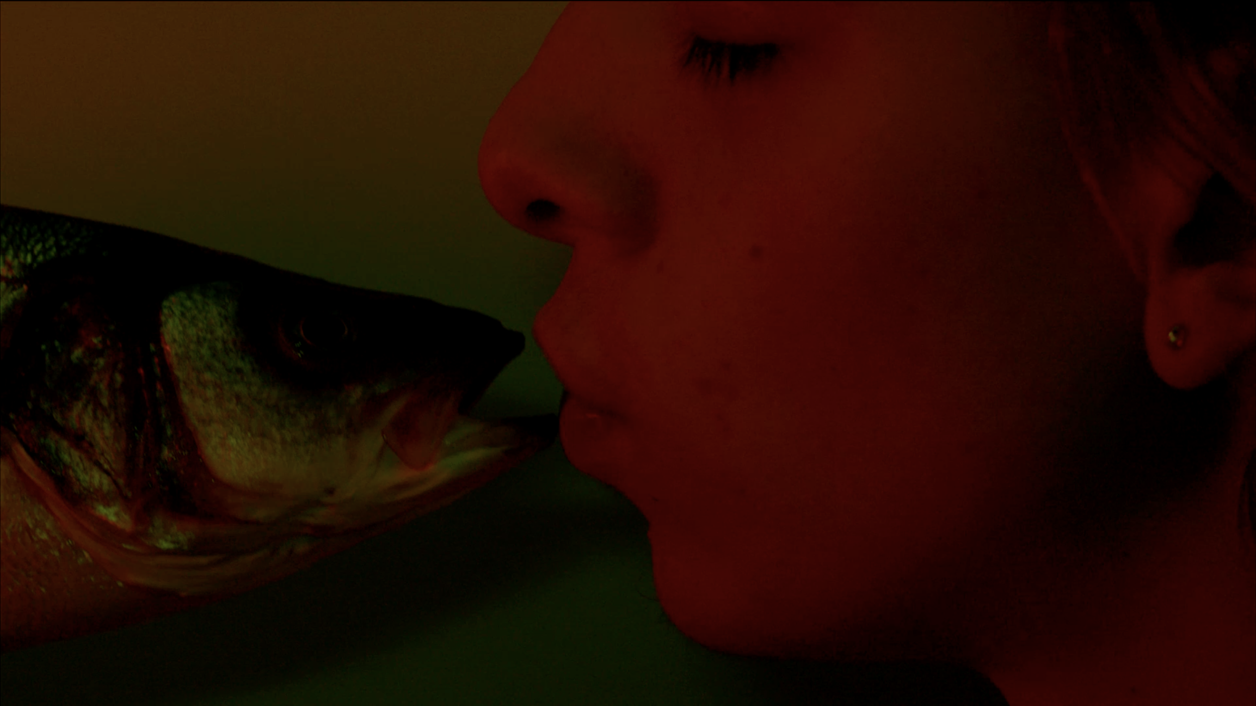 Screenshot 2026-01-28 at 1.11.15 AM.png