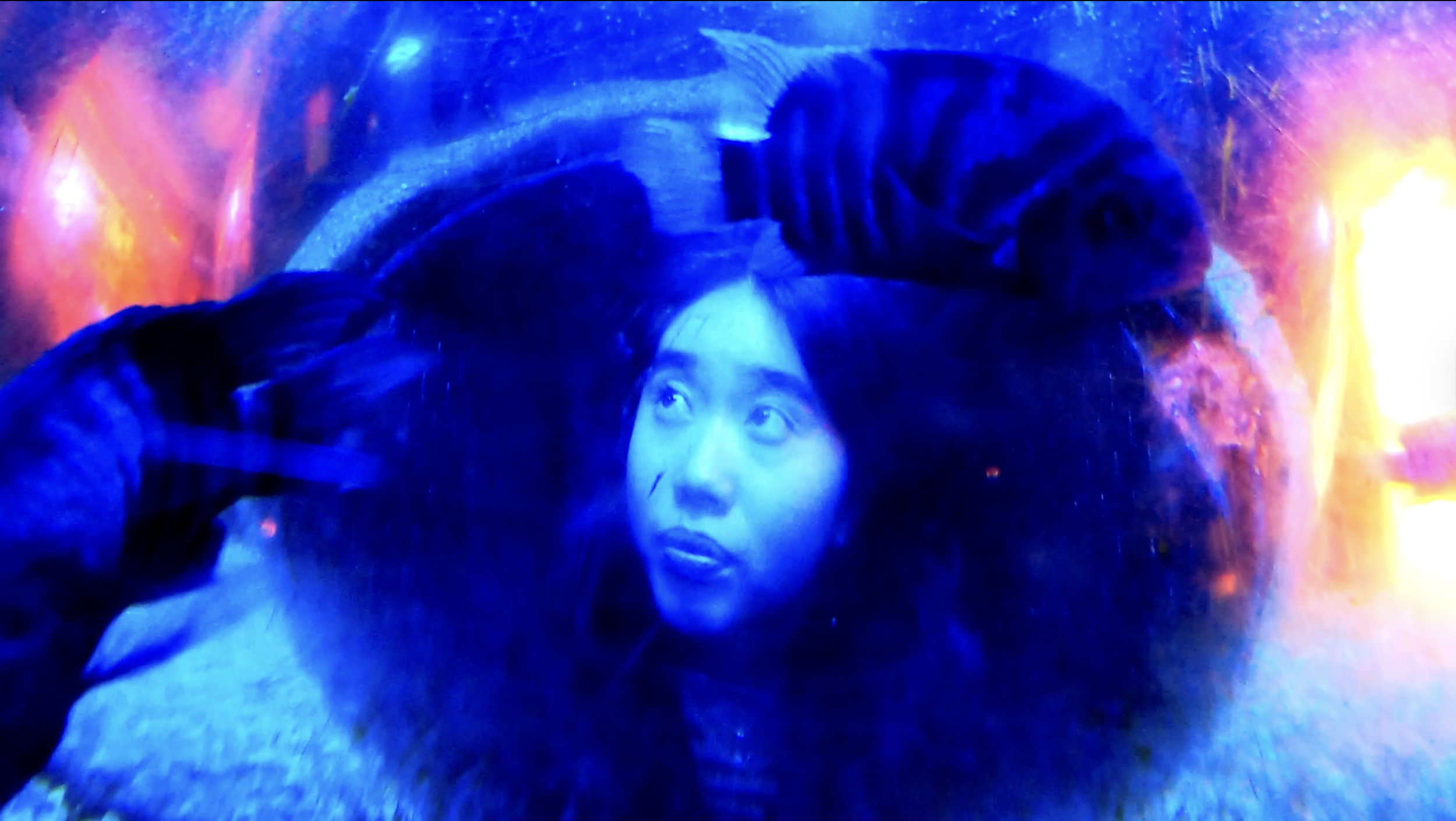 Screenshot 2026-01-28 at 12.53.24 AM.png