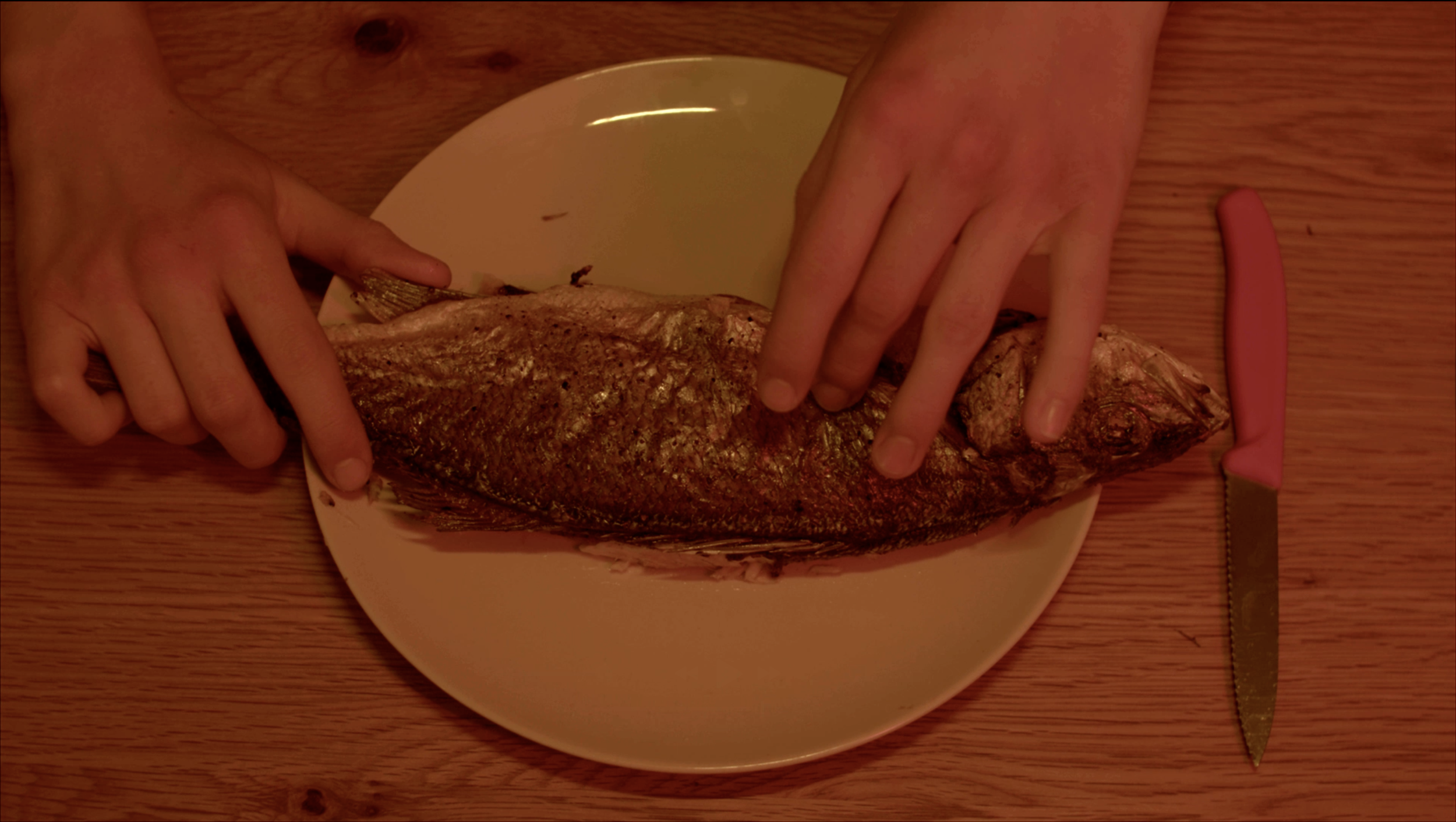 Screenshot 2026-01-28 at 1.06.56 AM.png