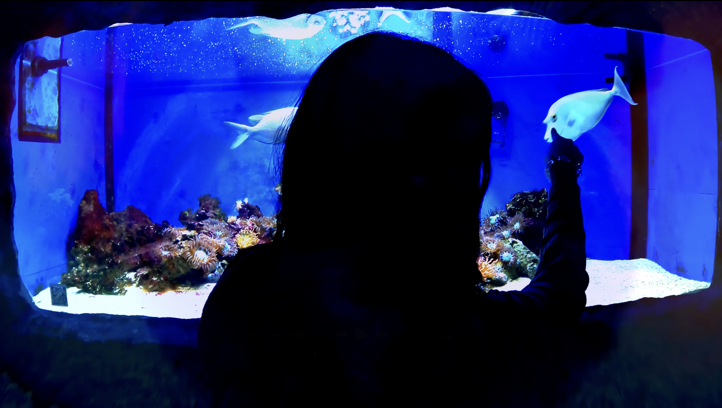 Screenshot 2026-01-28 at 12.53.46 AM.png