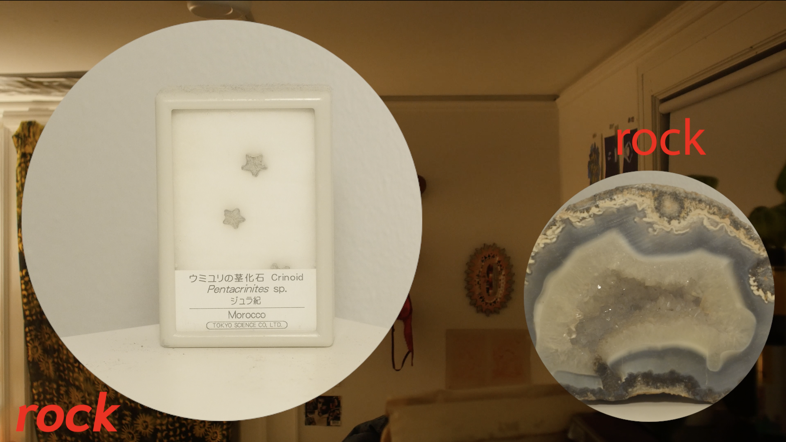 Screenshot 2026-01-26 at 7.46.34 PM.png