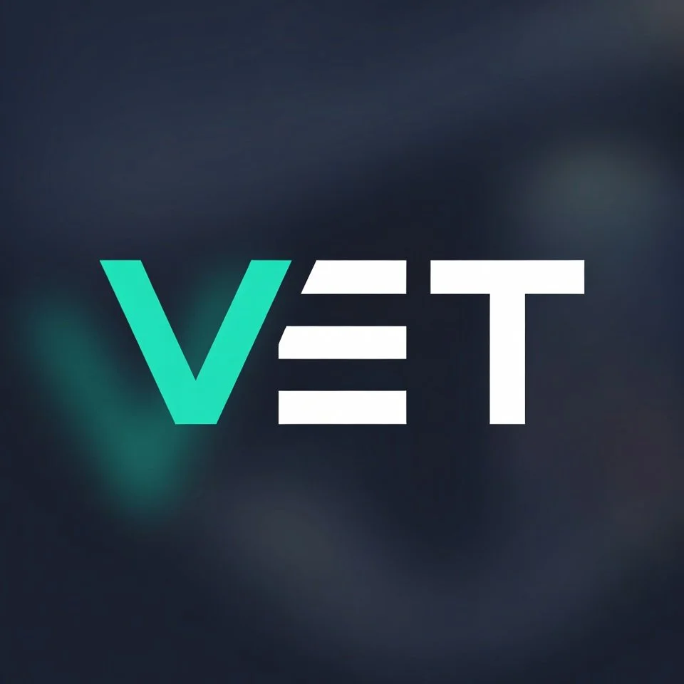 Vision Extract Technologies