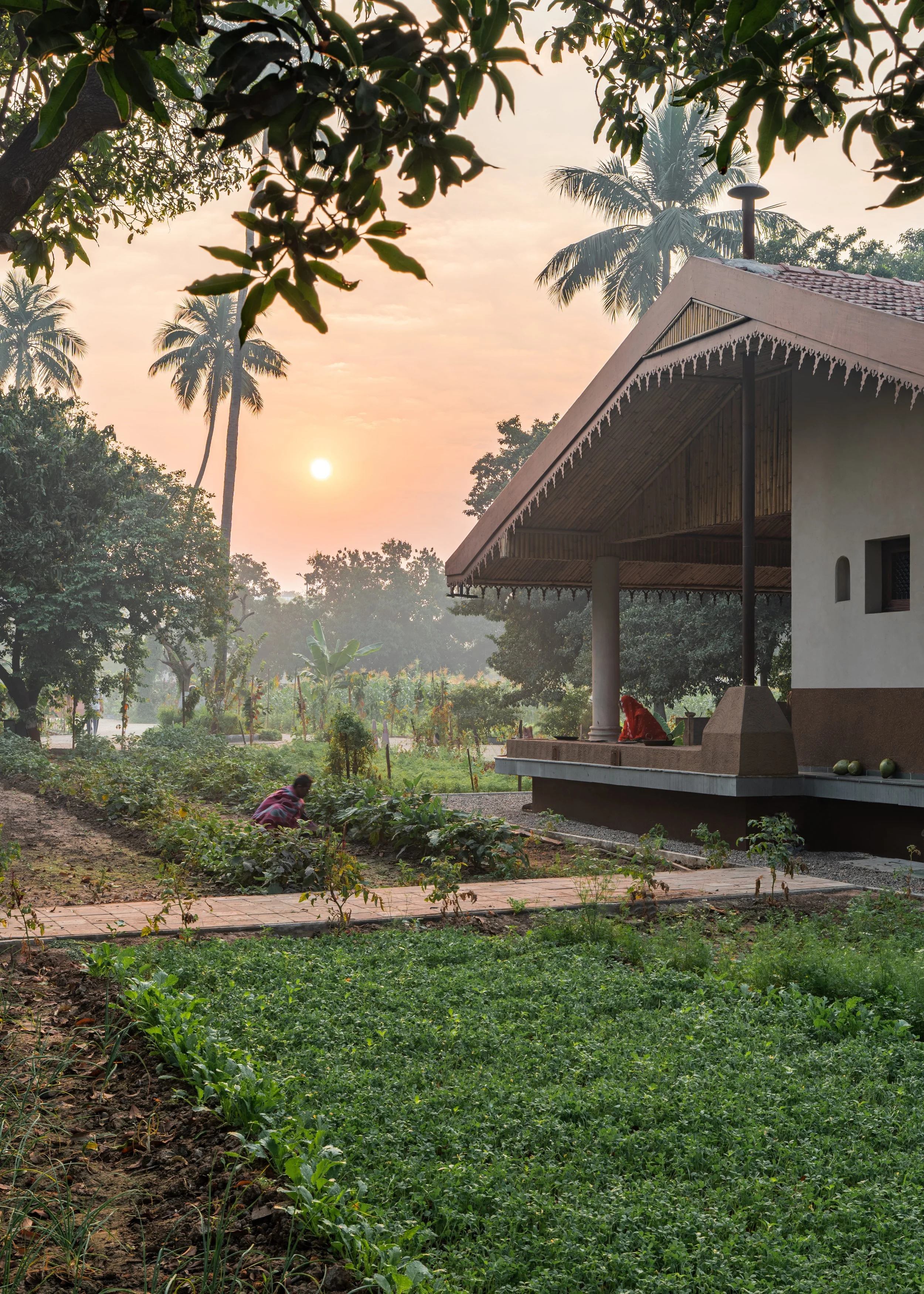 SDD-Santokba farm-15.jpg