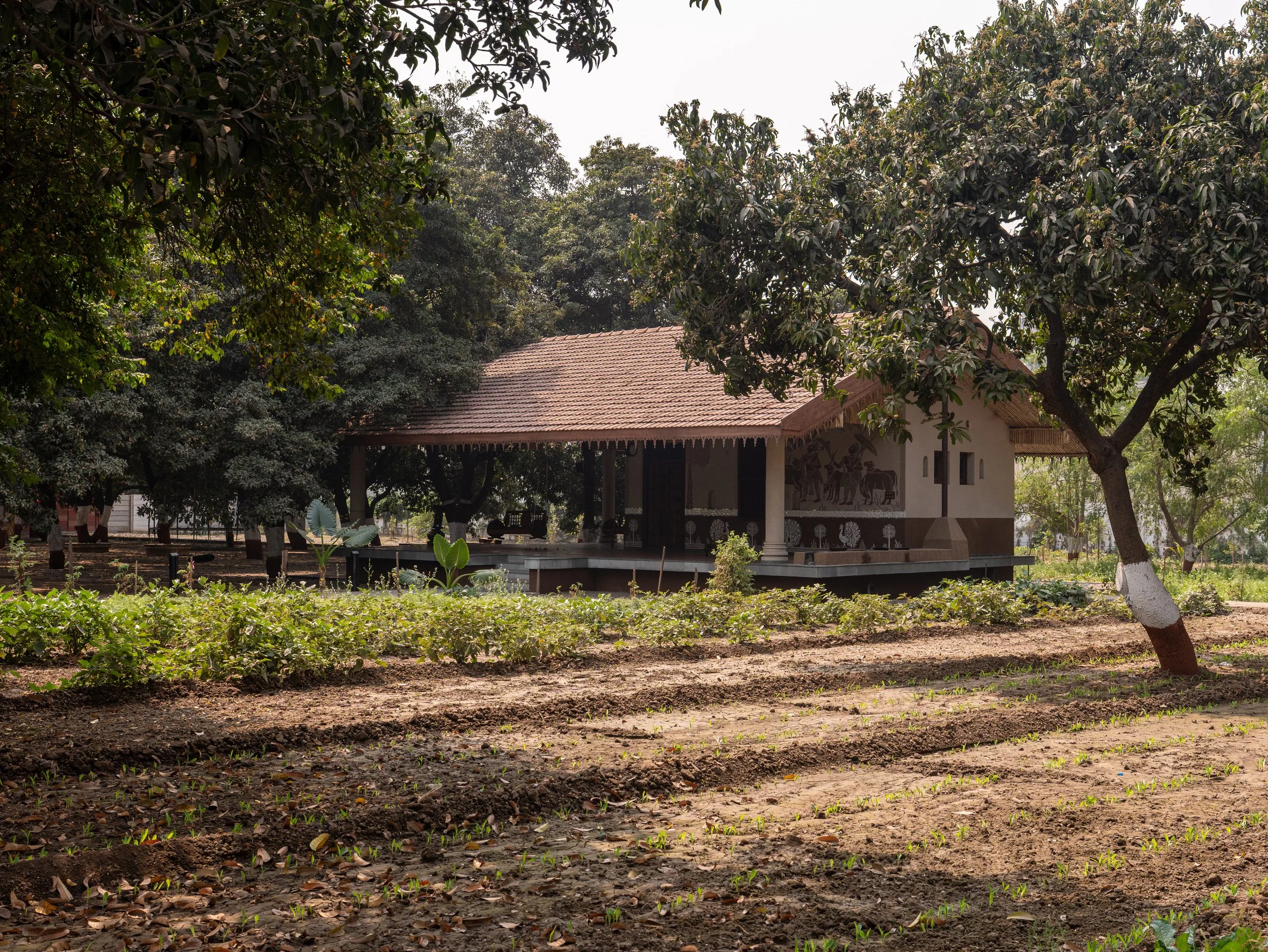 SDD-Santokba farm-76.jpg