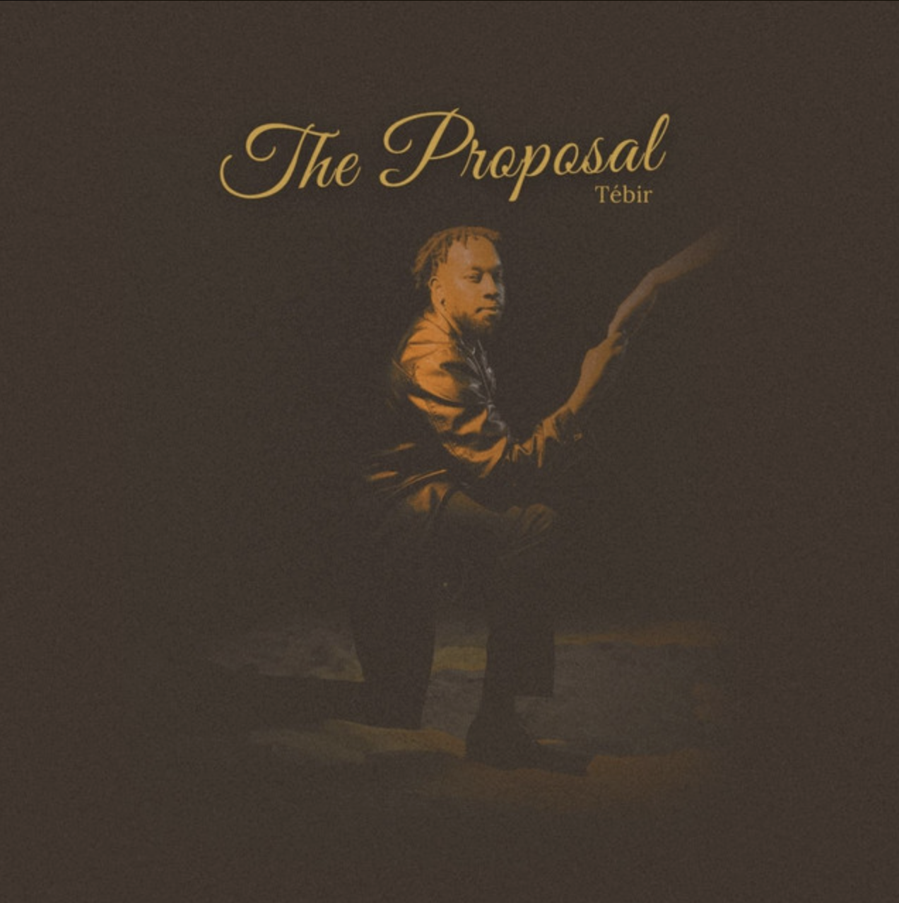 Cover image featuring a man with dreadlocks sitting at a piano, with the text 'The Proposal' and 'Tébir' in elegant script.