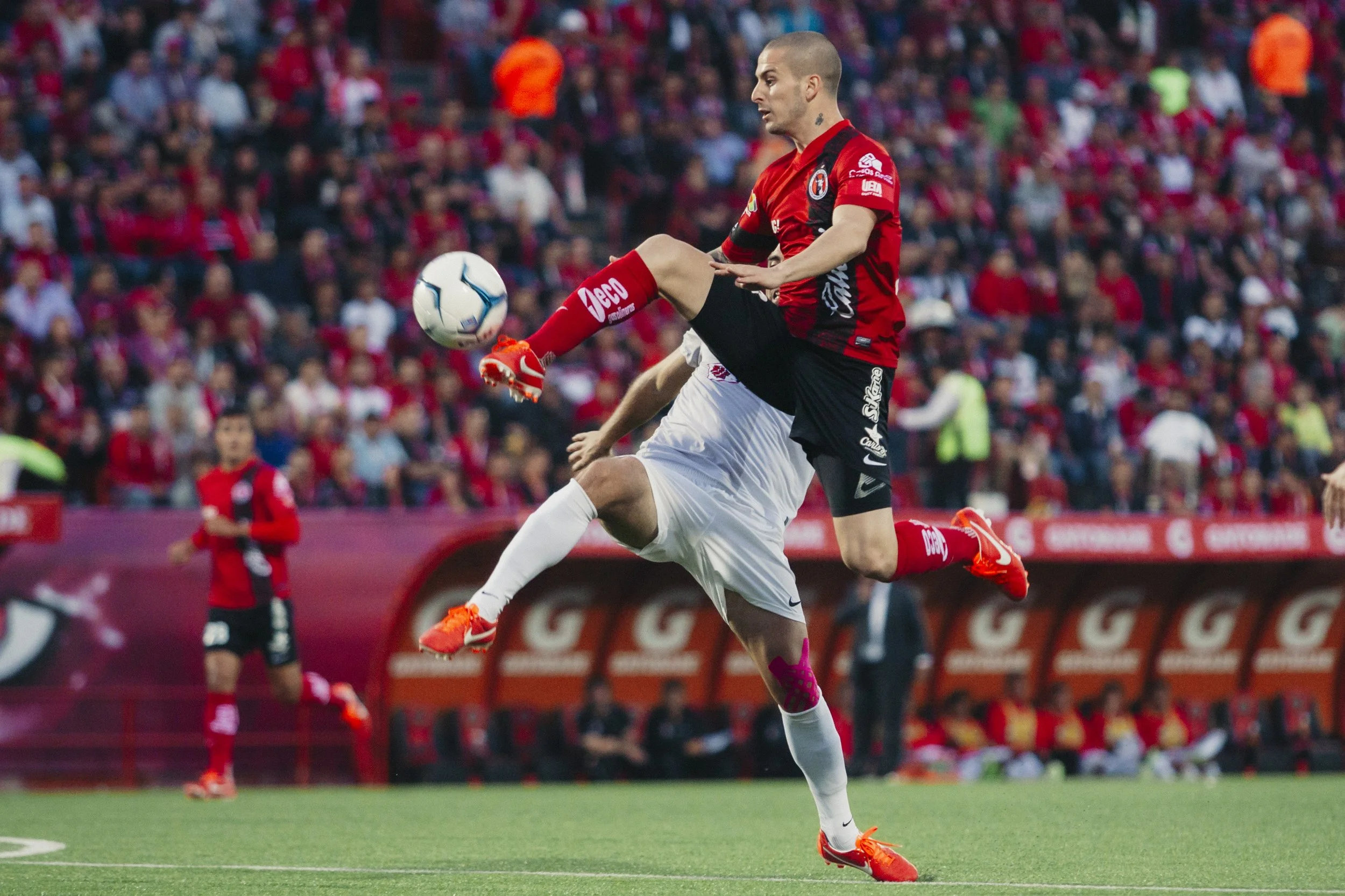 1_Xolos005 copia.jpg