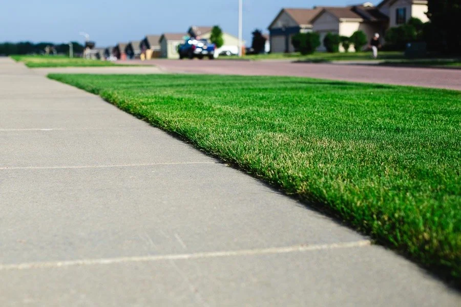 Sidewalk and well-maintained grassy lawn in a suburban neighborhood with houses and cars in the background.