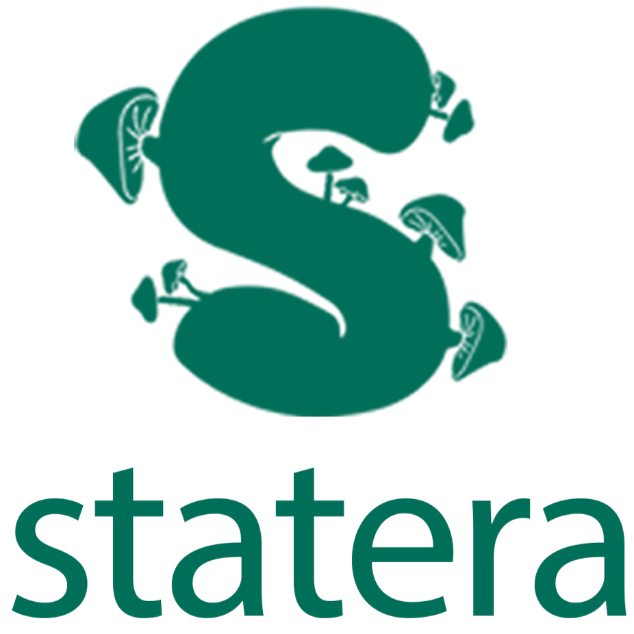 Statera Chicago