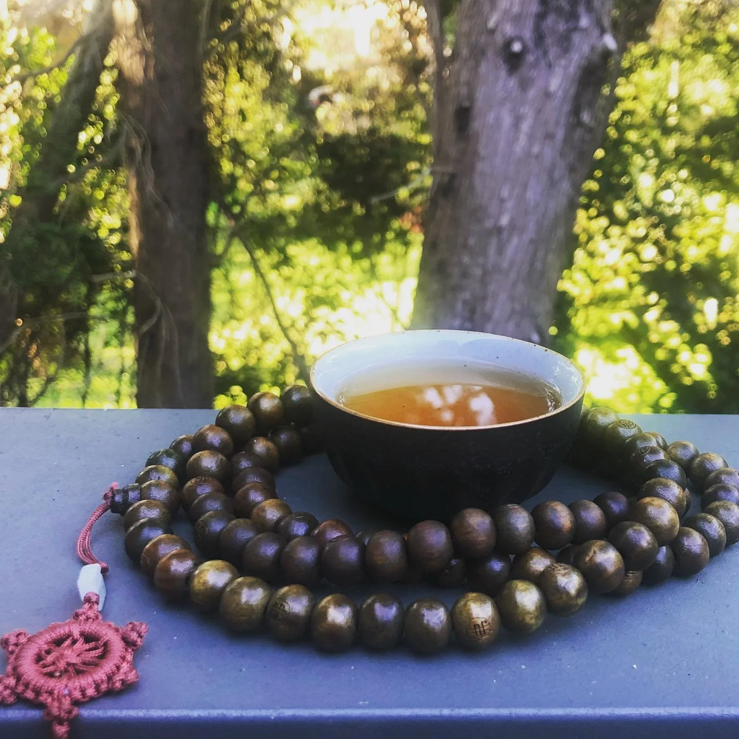 A black tea cup filled with tea resting on a flat surface, with a wooden bead necklace featuring a pink tassel beside it. The background shows two large tree trunks and green foliage with sunlight filtering through. Tea Meditations at Dao Hut Hobart