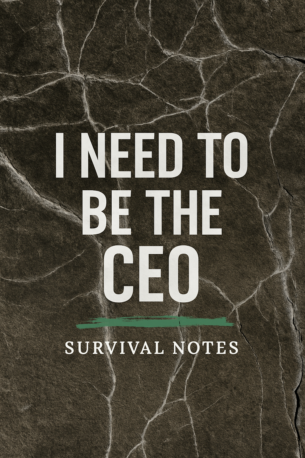 Book cover with dark cracked stone background, titled 'I Need to Be the CEO', subheading 'Survival Notes' in white text with a green underline.