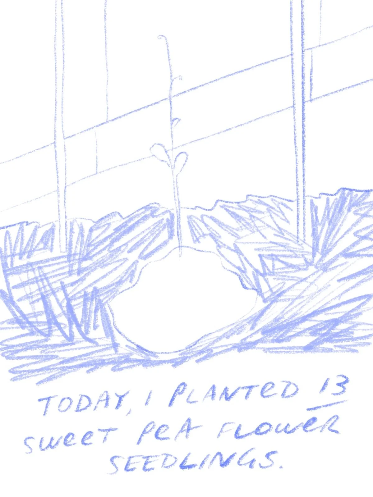 On gratitude, pt 1