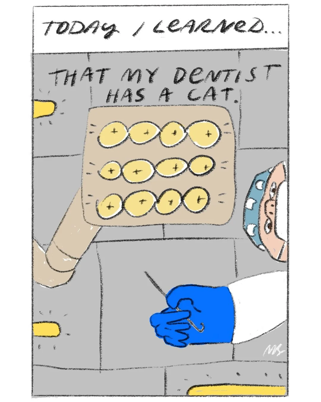Rank in order of importance: 🐱 🍫 🧠