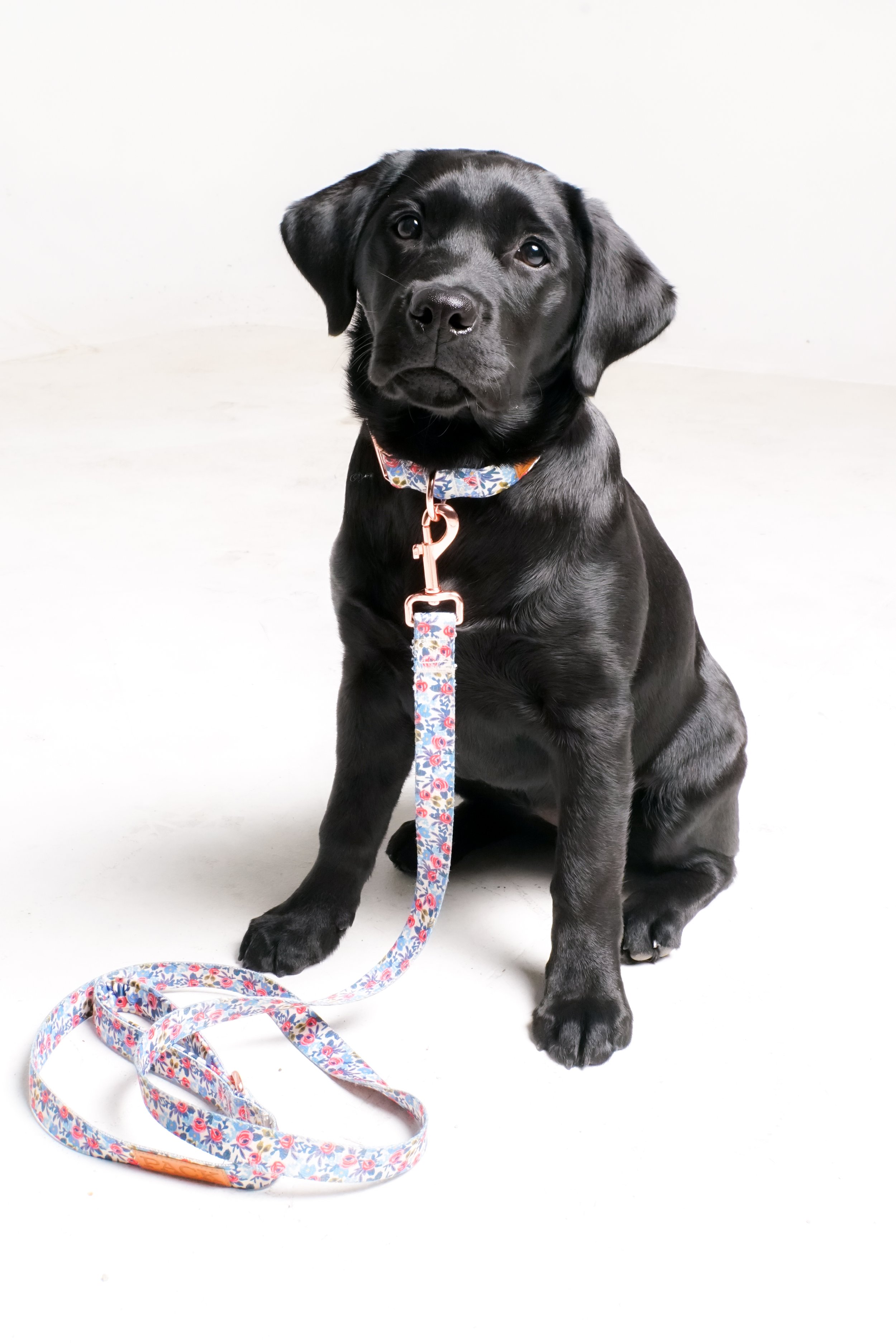 Paisely - 4.5 mos-28.jpeg