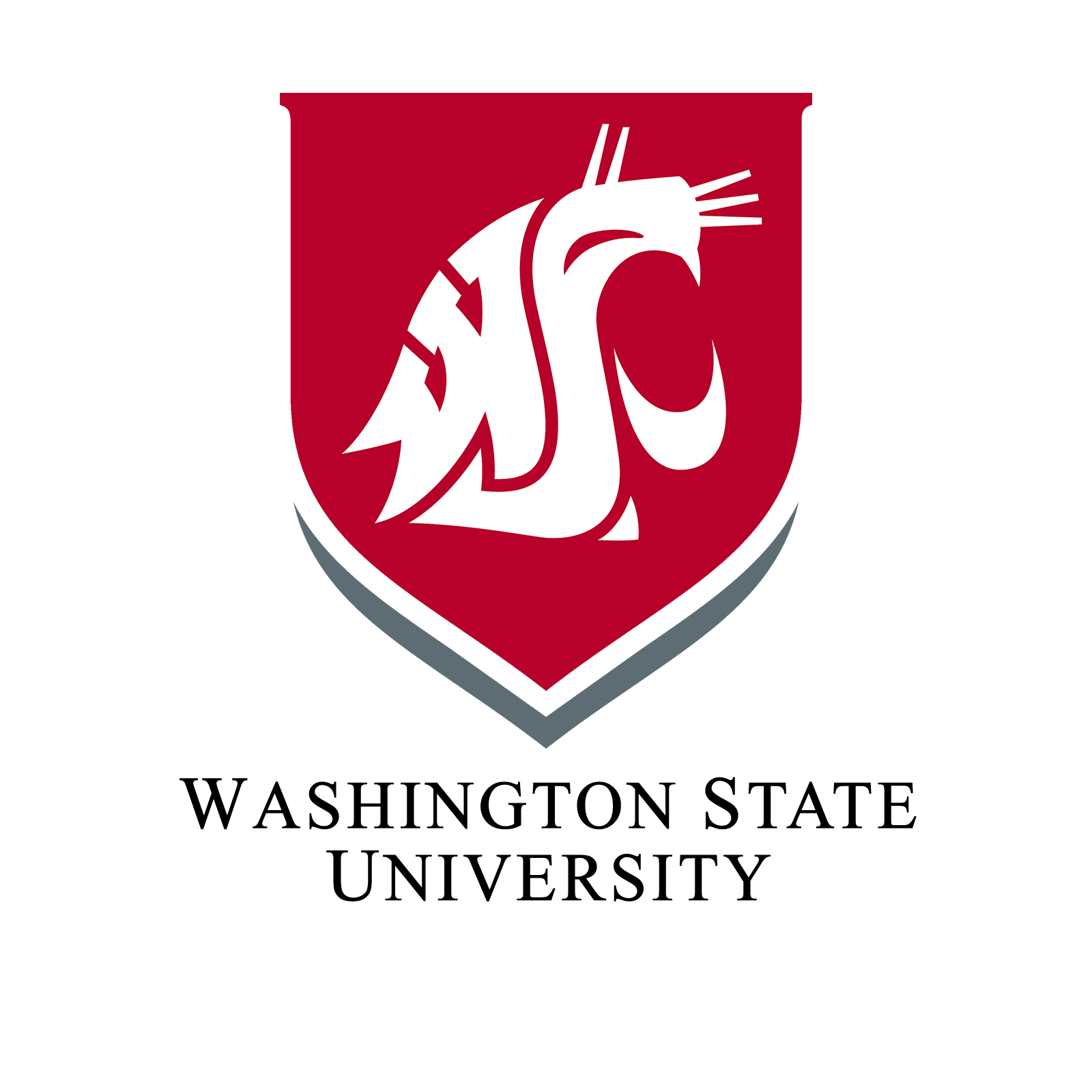 Washington-State-University.png