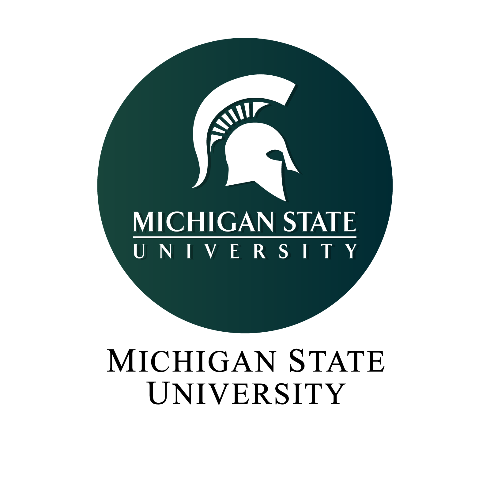 33 - Michigan-State-University.png