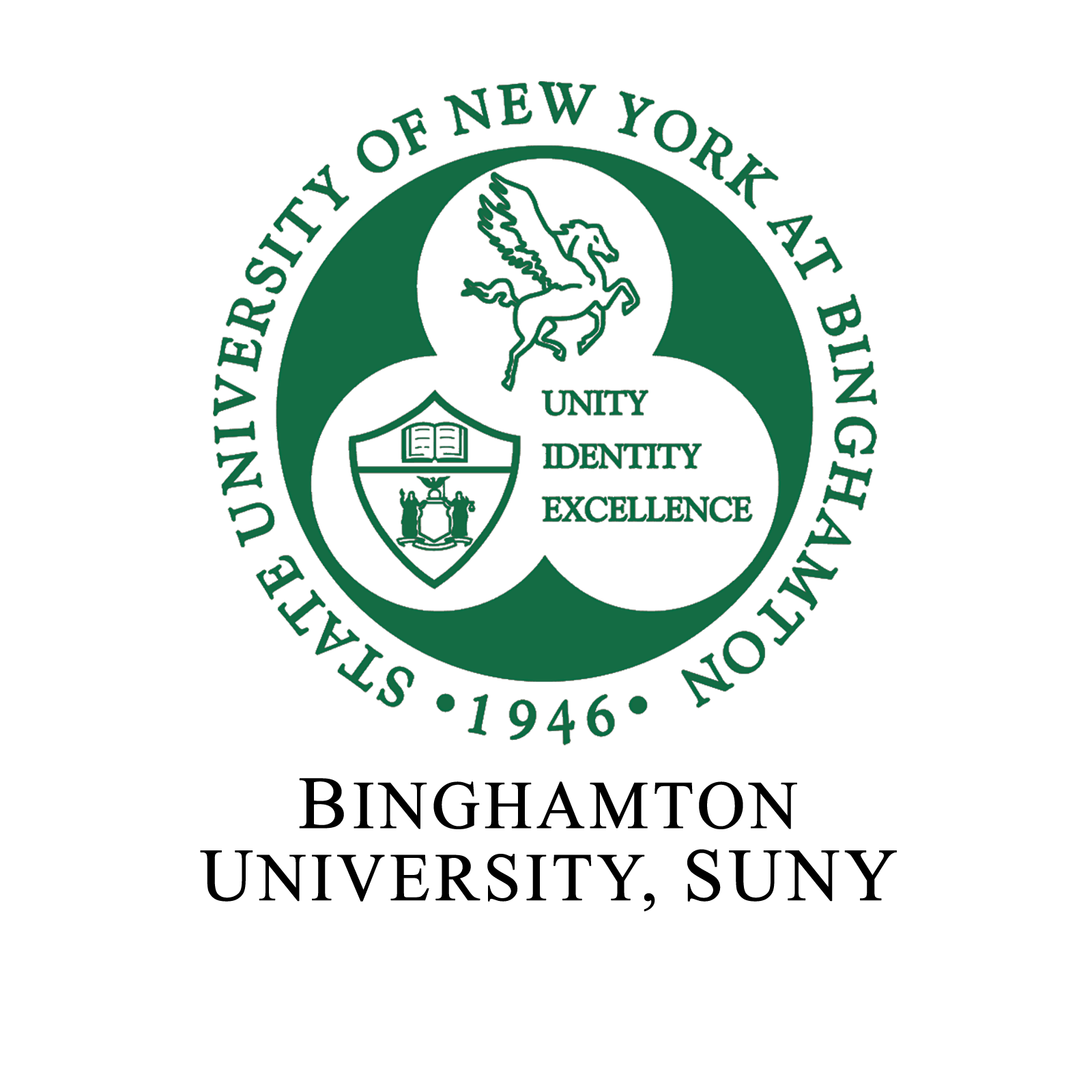 Binghamton-University-SUNY.png