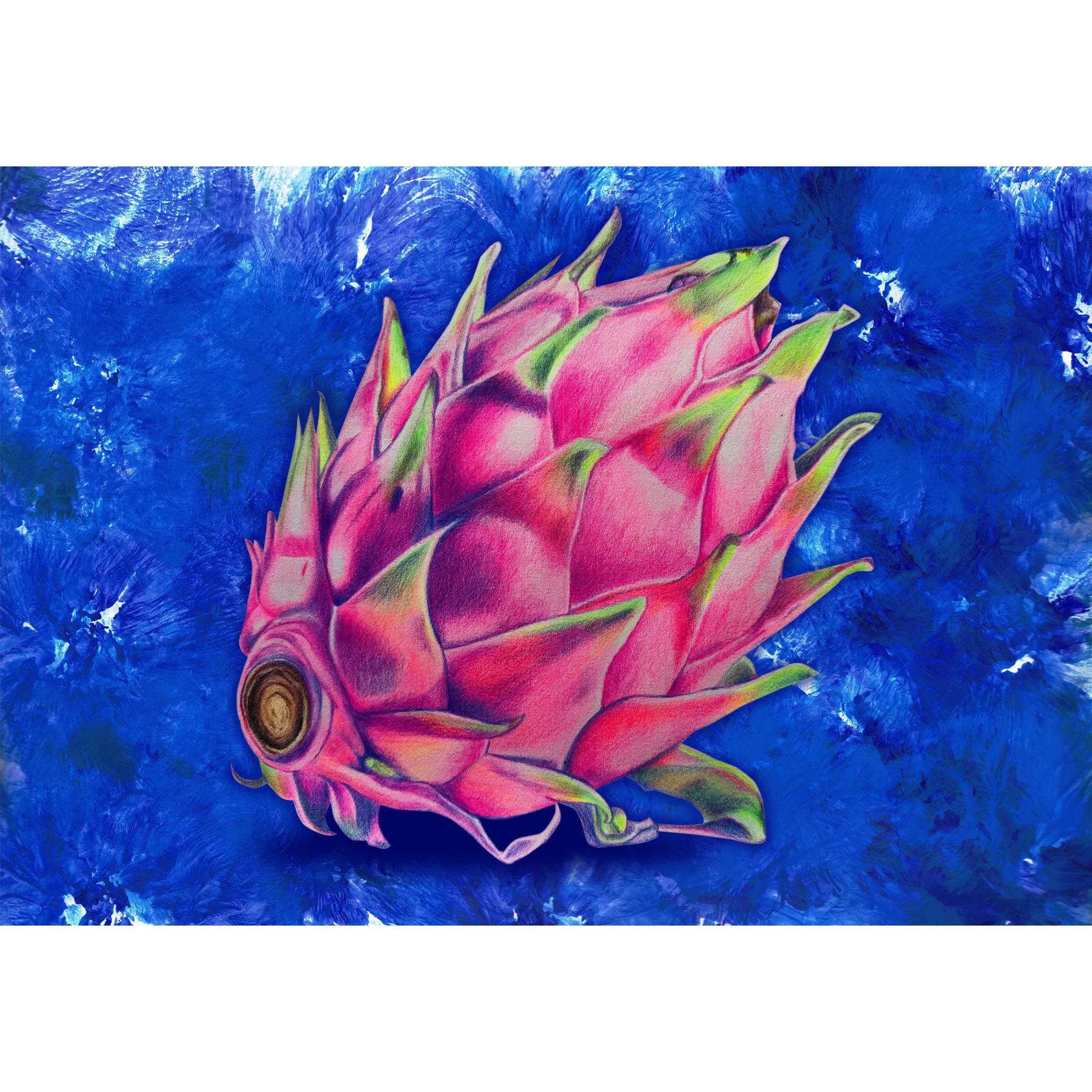 Artist: Melissa Lapadula | Program 1 | Task 9 | Jun 2026 