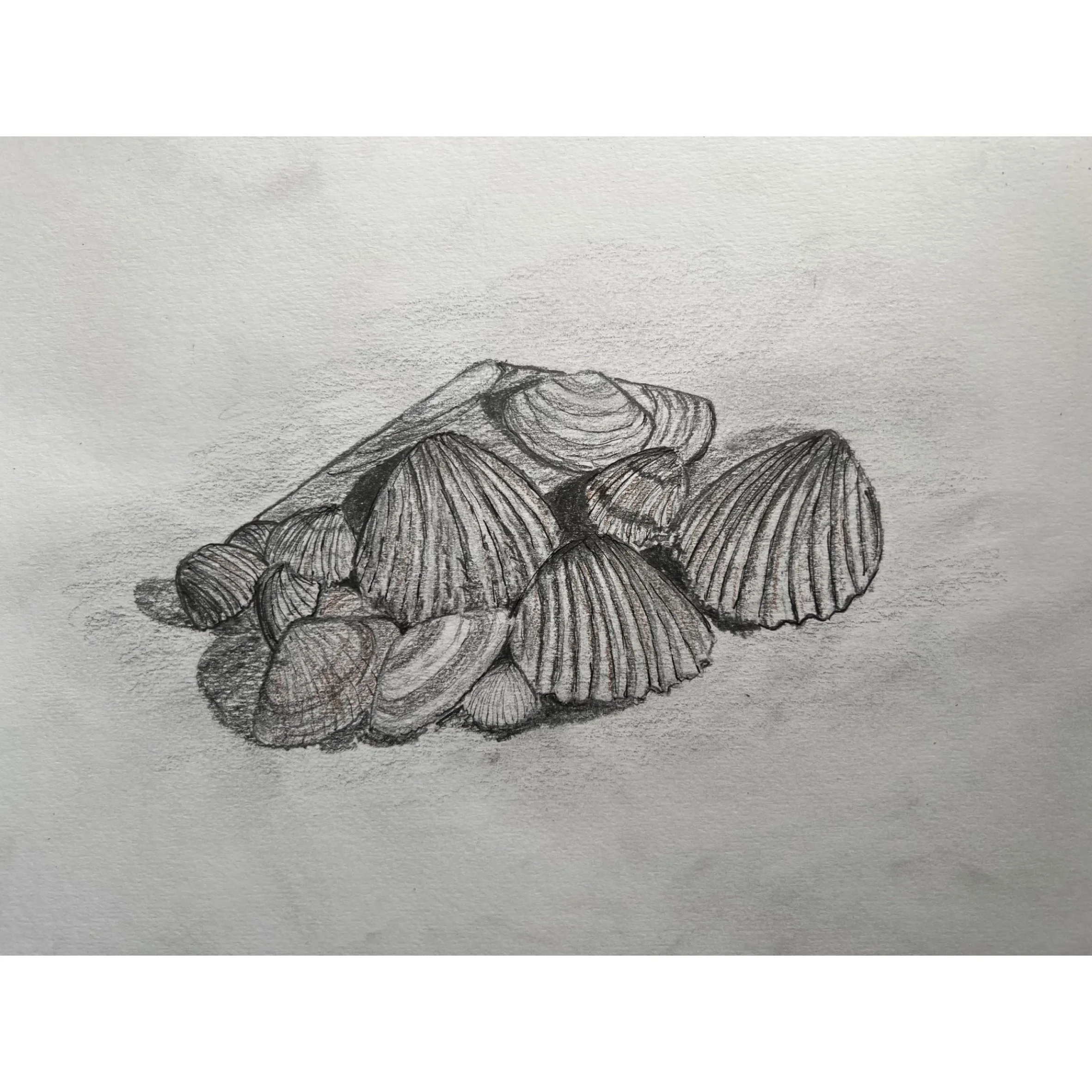 Artist: Tim | Program 1 | Task 3 | Jun 2026