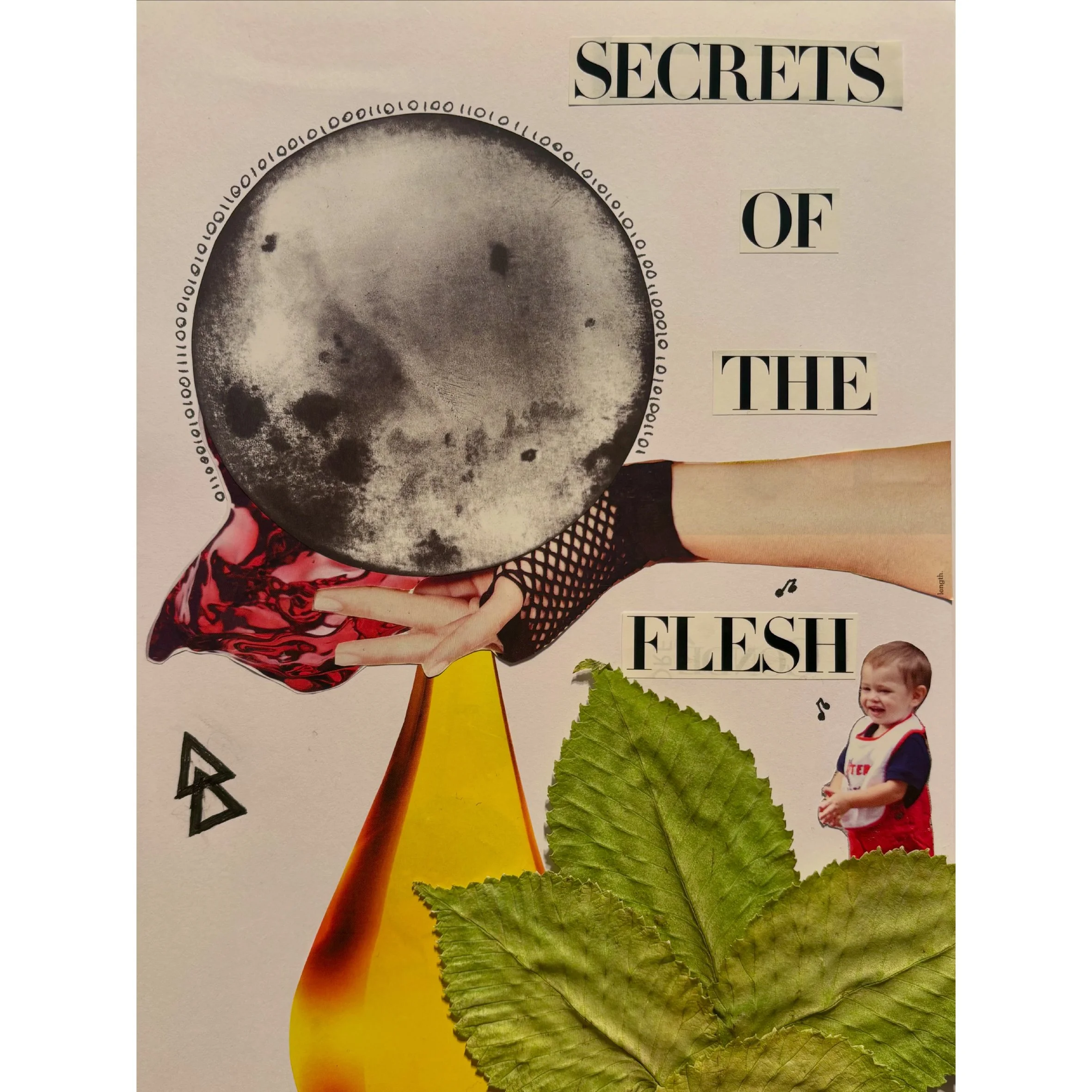 Artist: Fyonna McKenzie | Program 1 | Task 1 | Apr 2026
