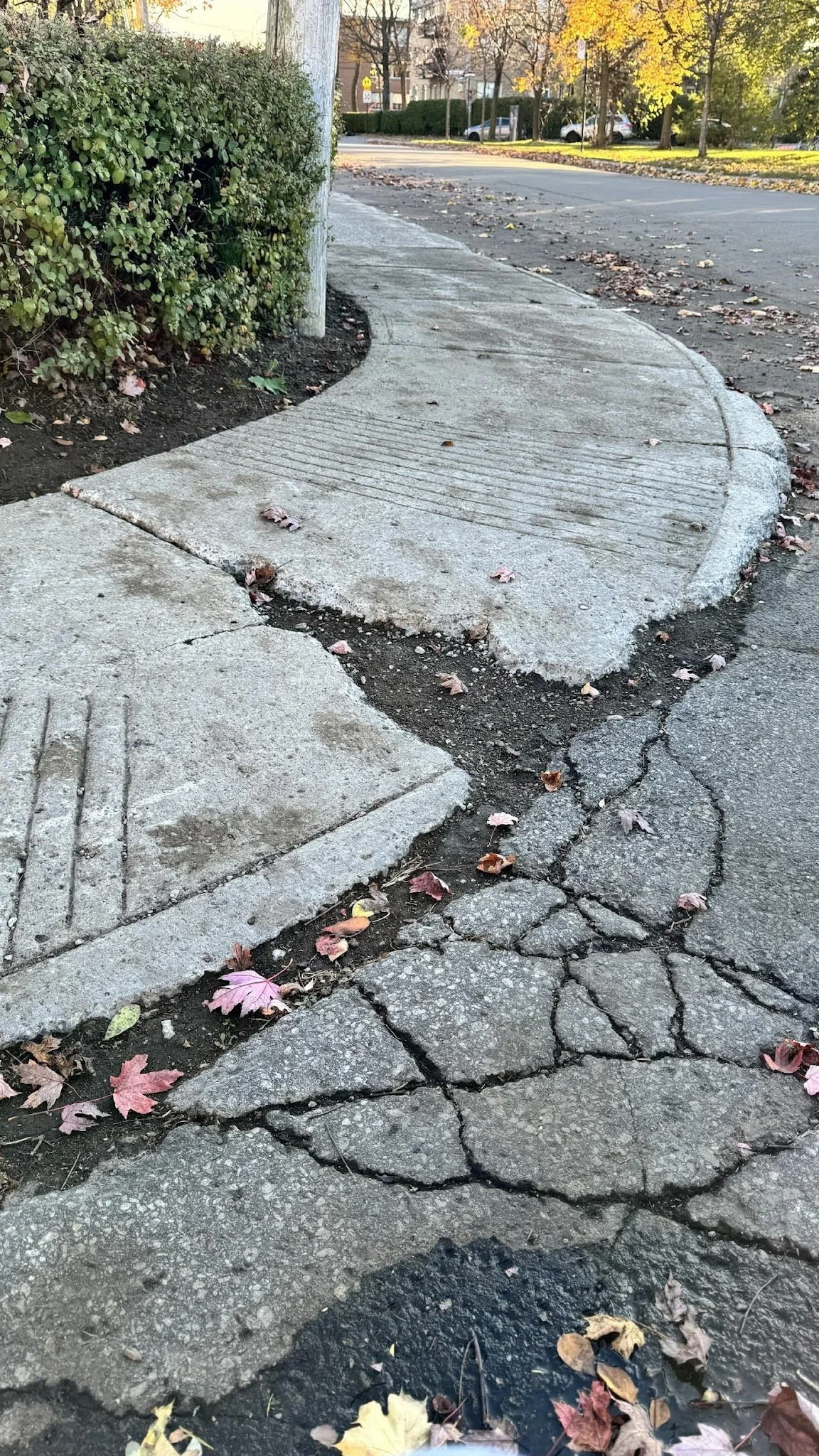 Badly cracked sidewalk creating tripping hazards and obstacles