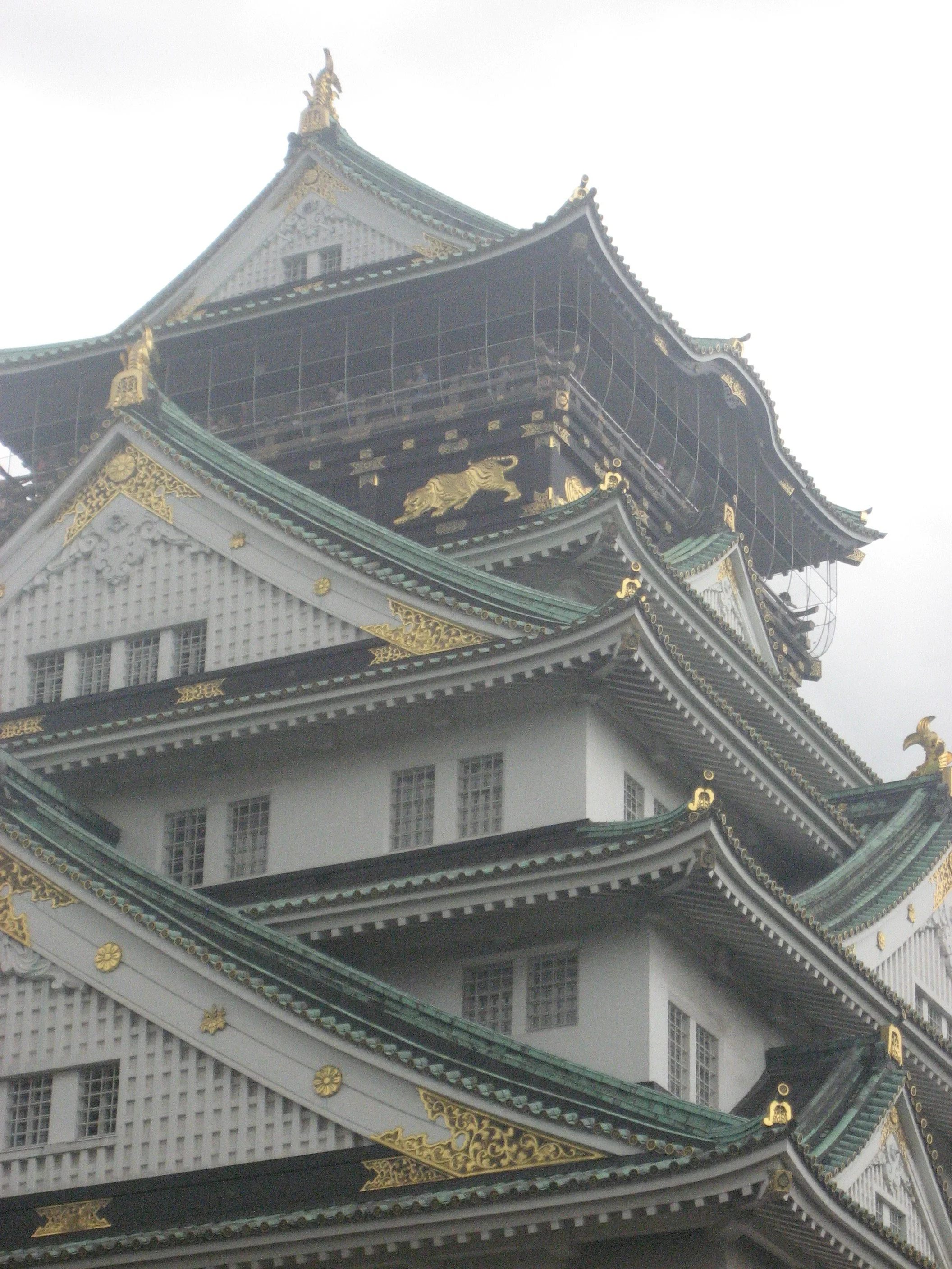 IMG_5802.jpeg