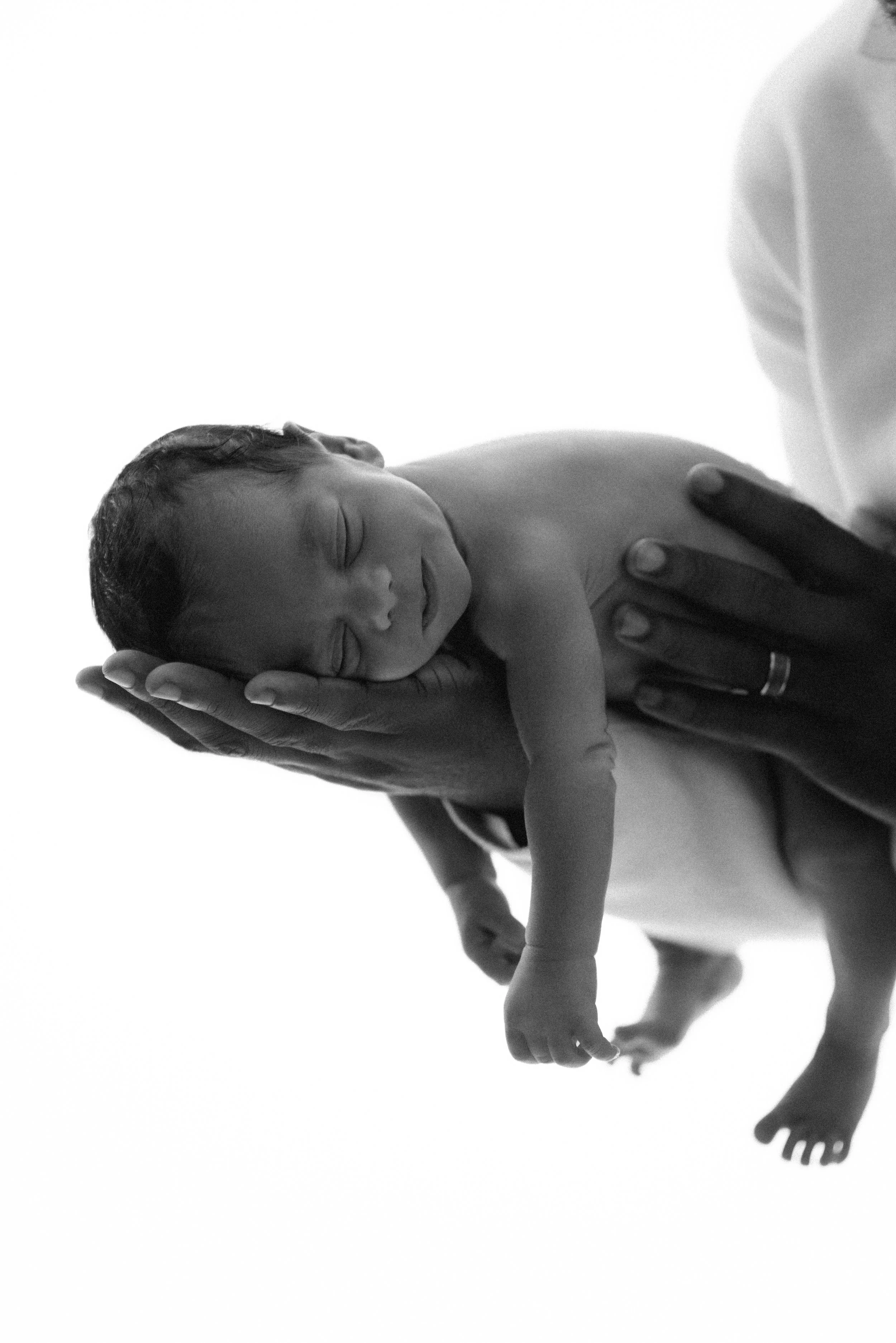 image-5-image (2).jpg