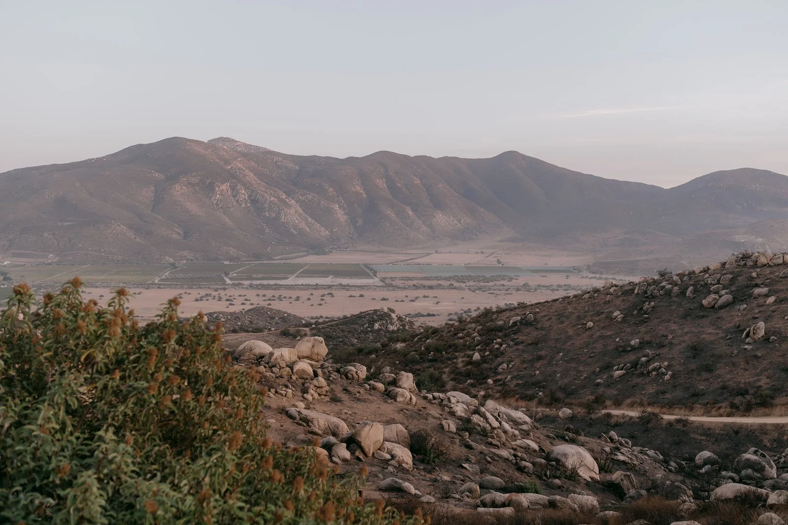 Aranza & Diego49.jpg