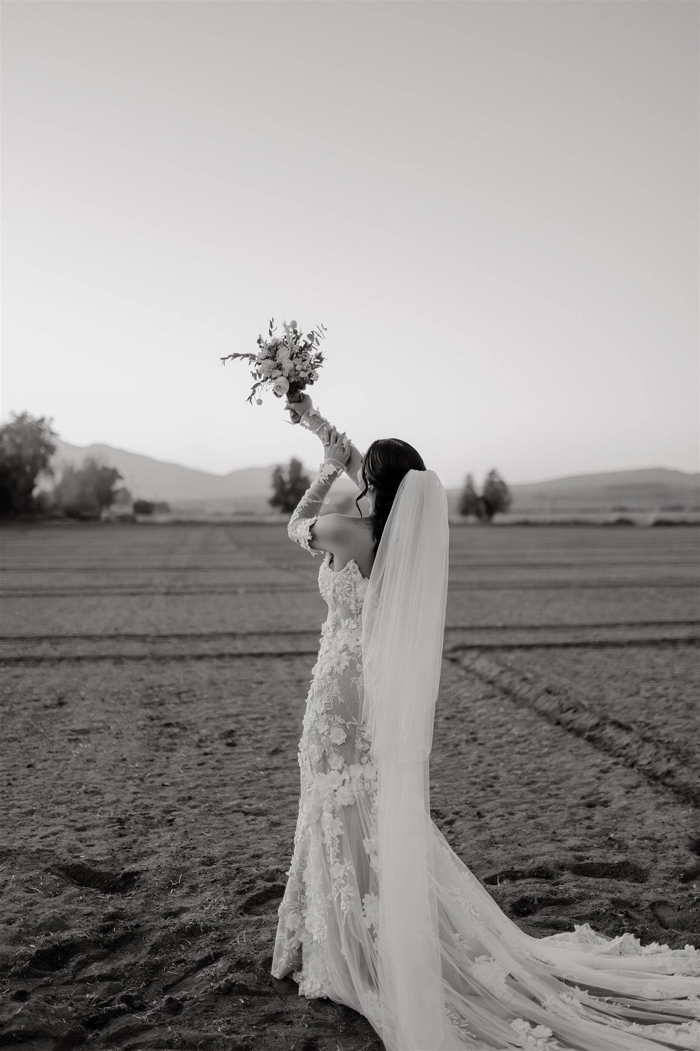 Wedding Susanna & Tony508.jpg