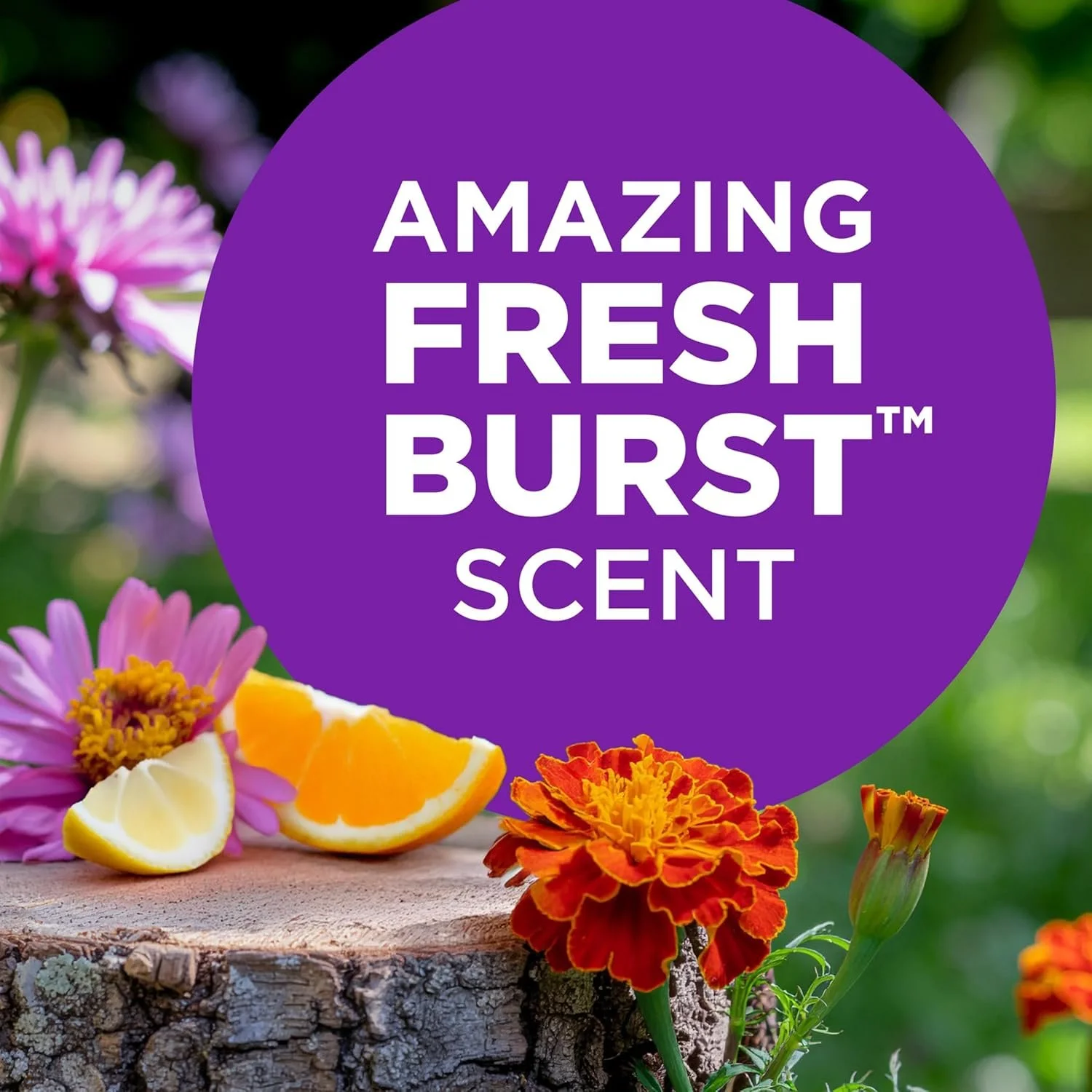 81JUGBe8A7L._AC_SL1500_ (1).jpg