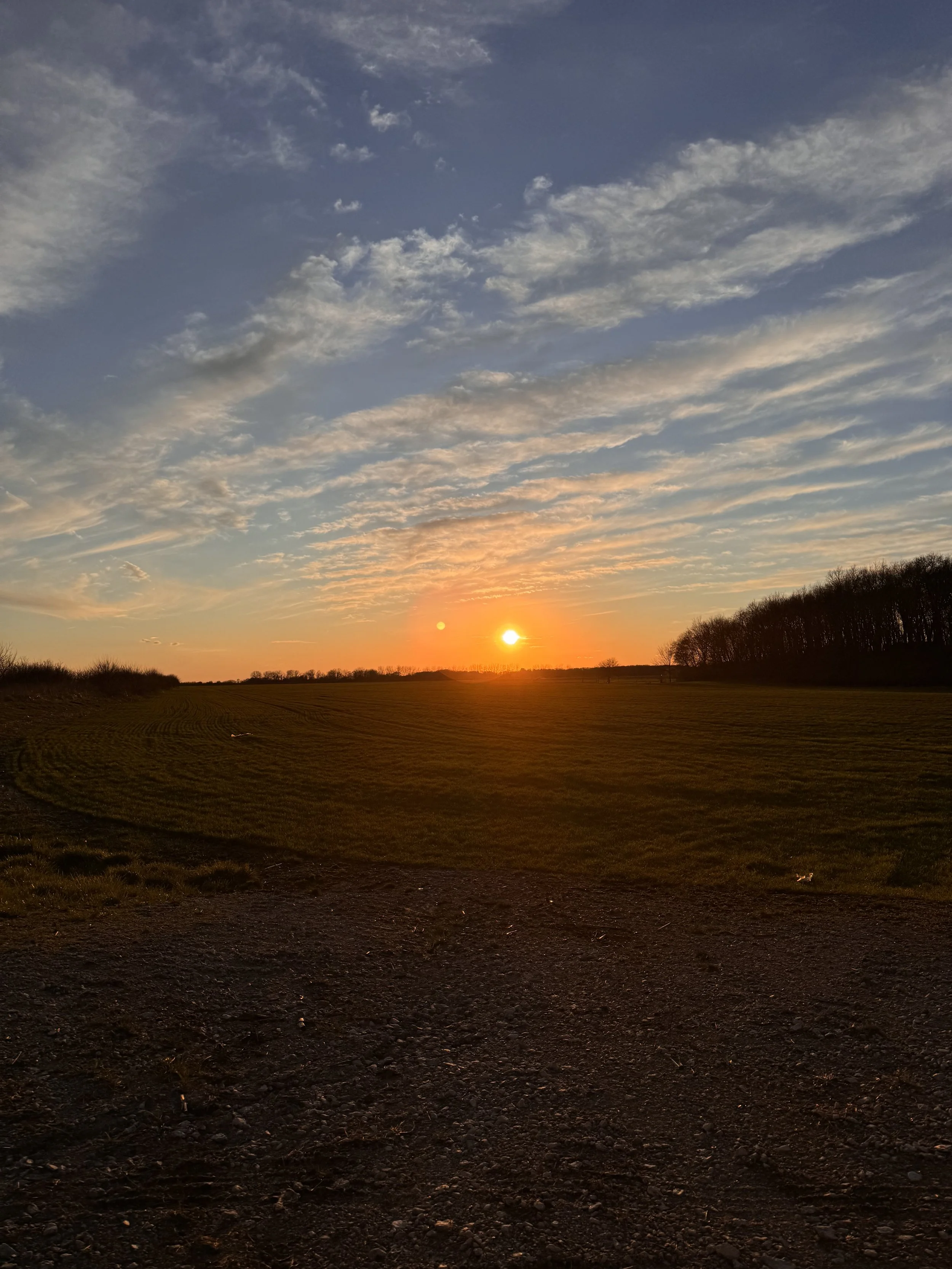 Sunset over a grassy field with a dirt path and a tree line in the distance.