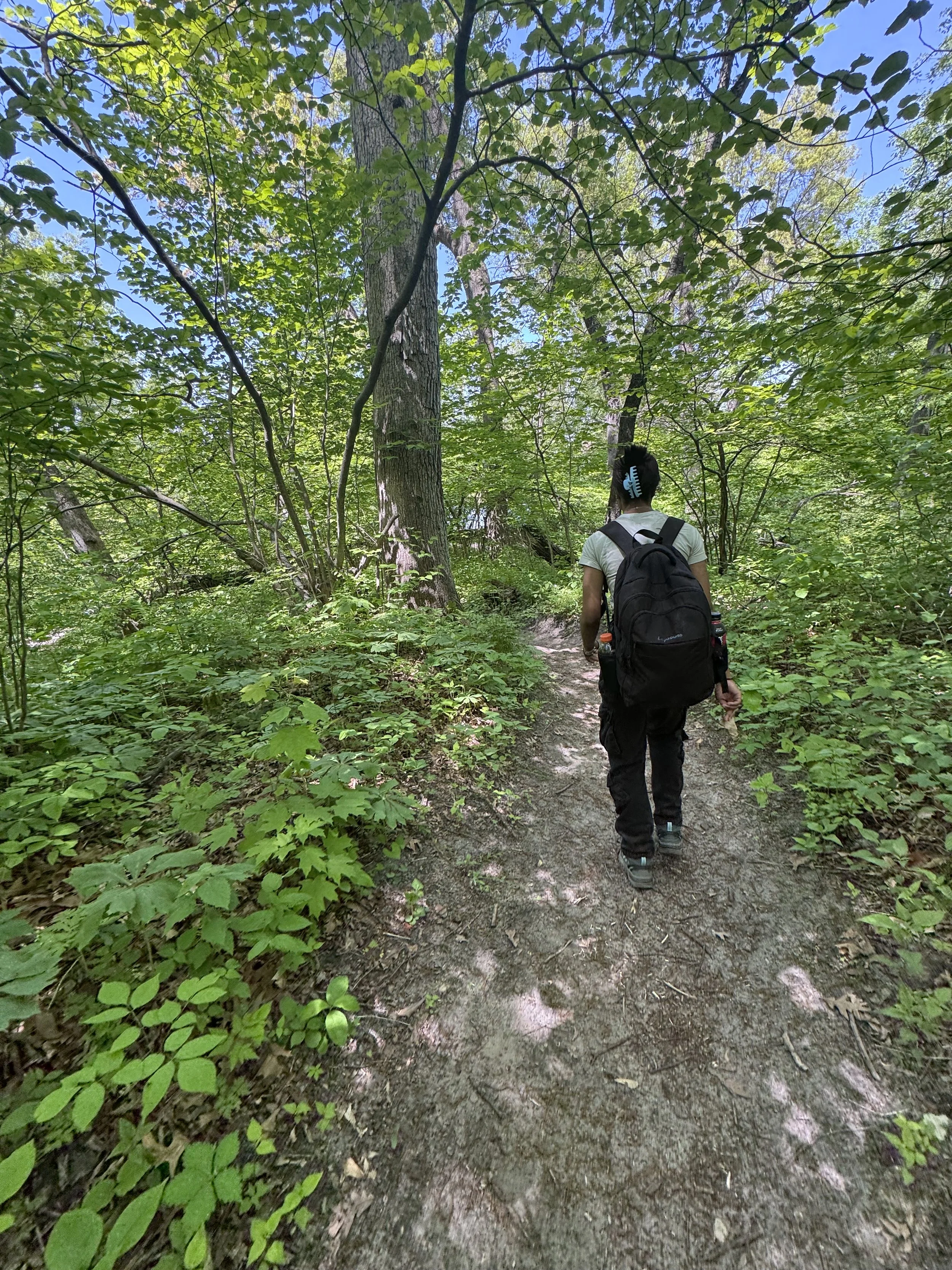 A person hiking on a narrow dirt trail in a lush green forest, carrying a black backpack.