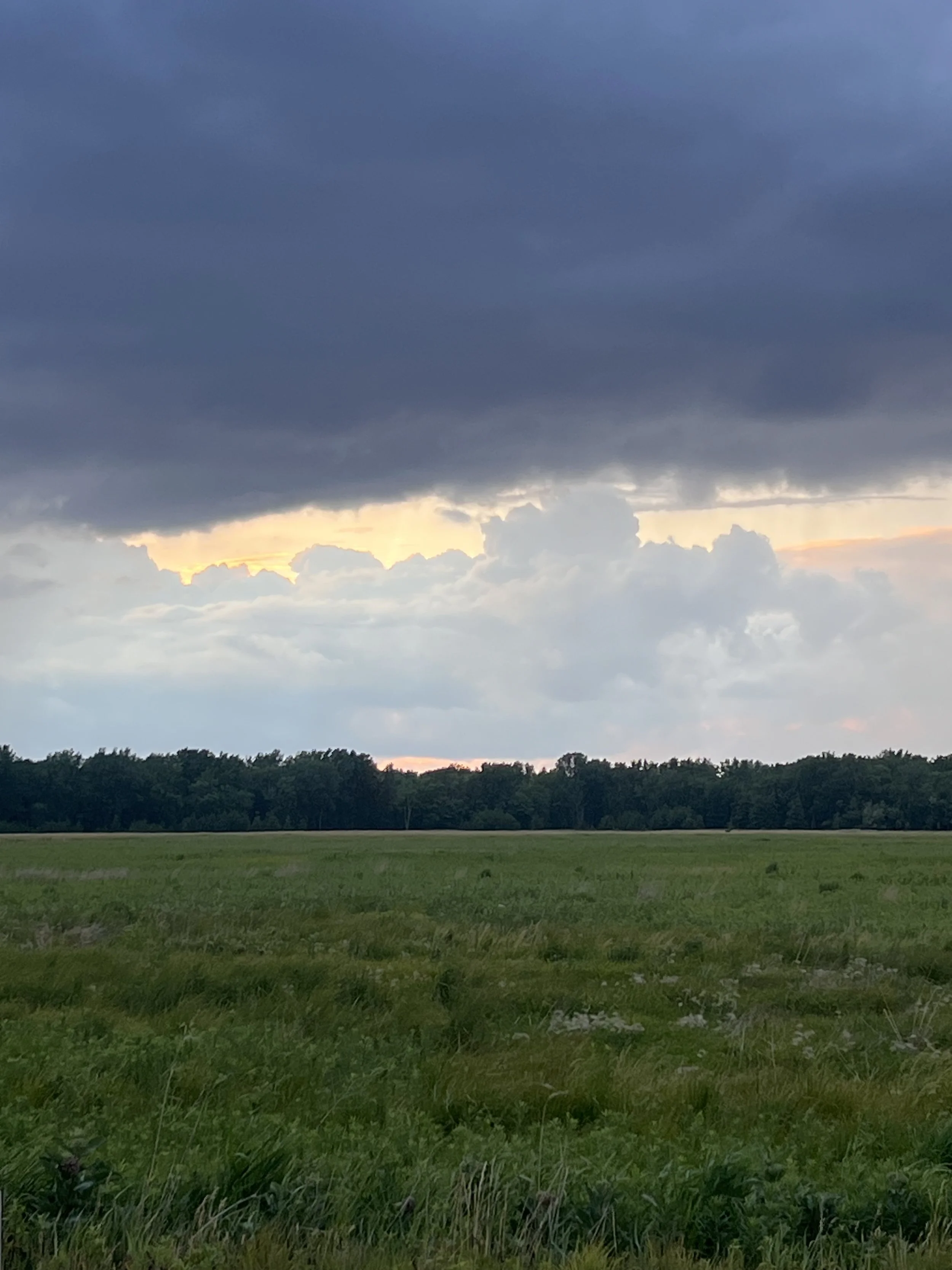 A vast grassy field with a line of trees in the distance under a dark, cloudy sky with some sunlight breaking through.