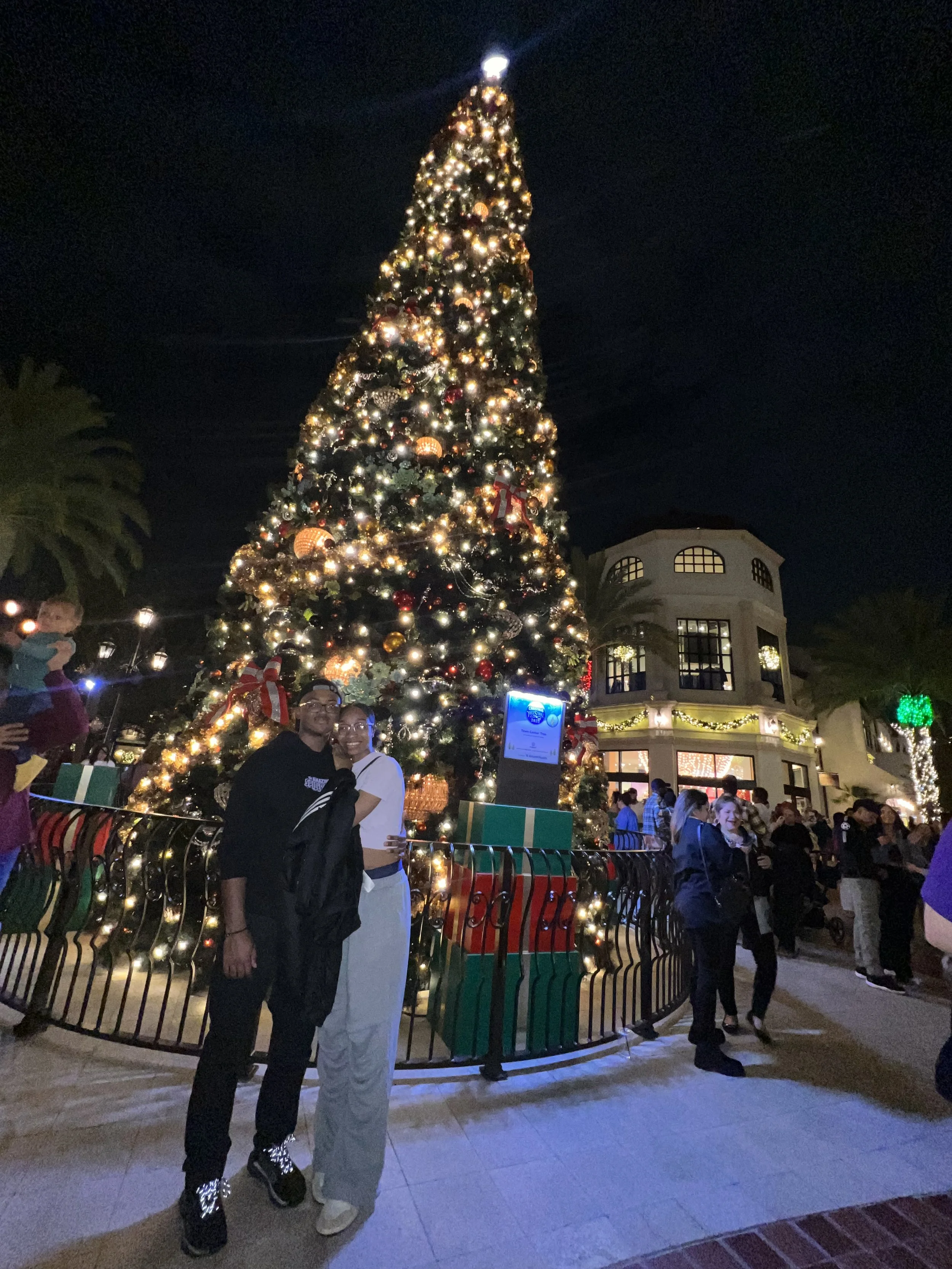 People standing in front of a large decorated Christmas tree at night