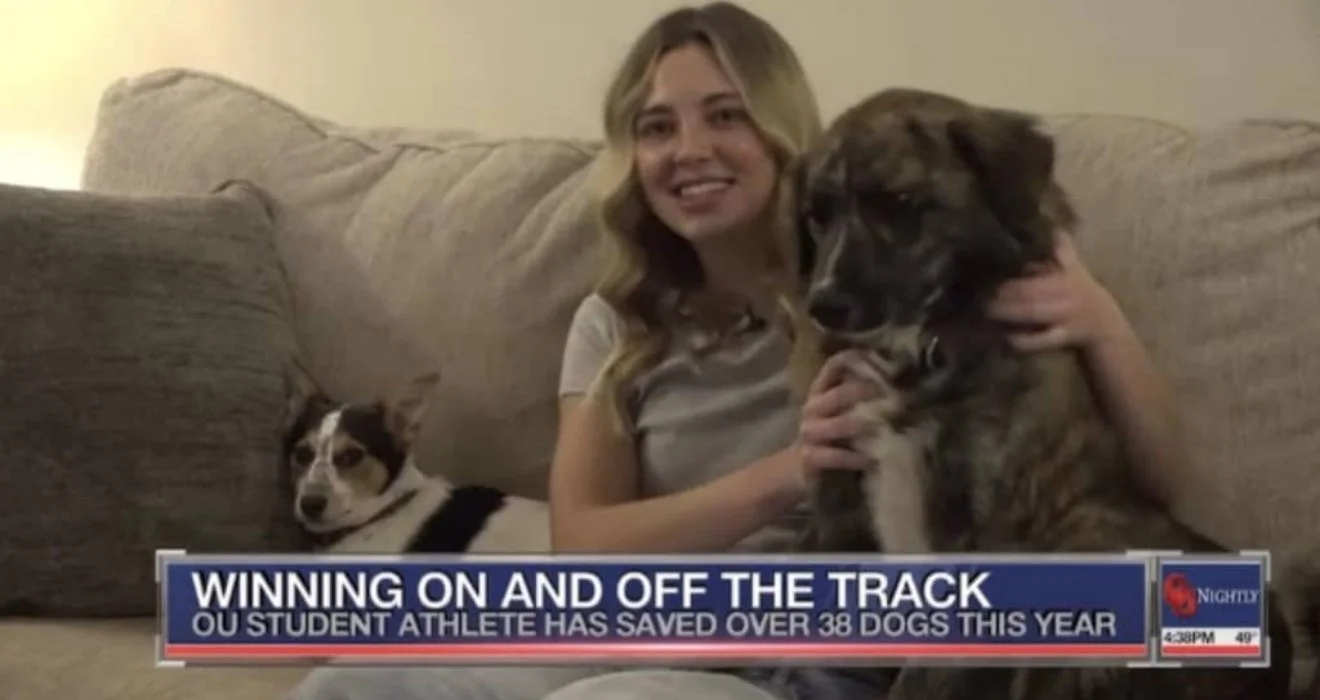 A young woman sitting on a beige couch holding two dogs, with a third dog lying next to her, in a living room. A news banner at the bottom reads, "Winning On and Off the Track," about an OU student athlete who has rescued over 38 dogs in a year.
