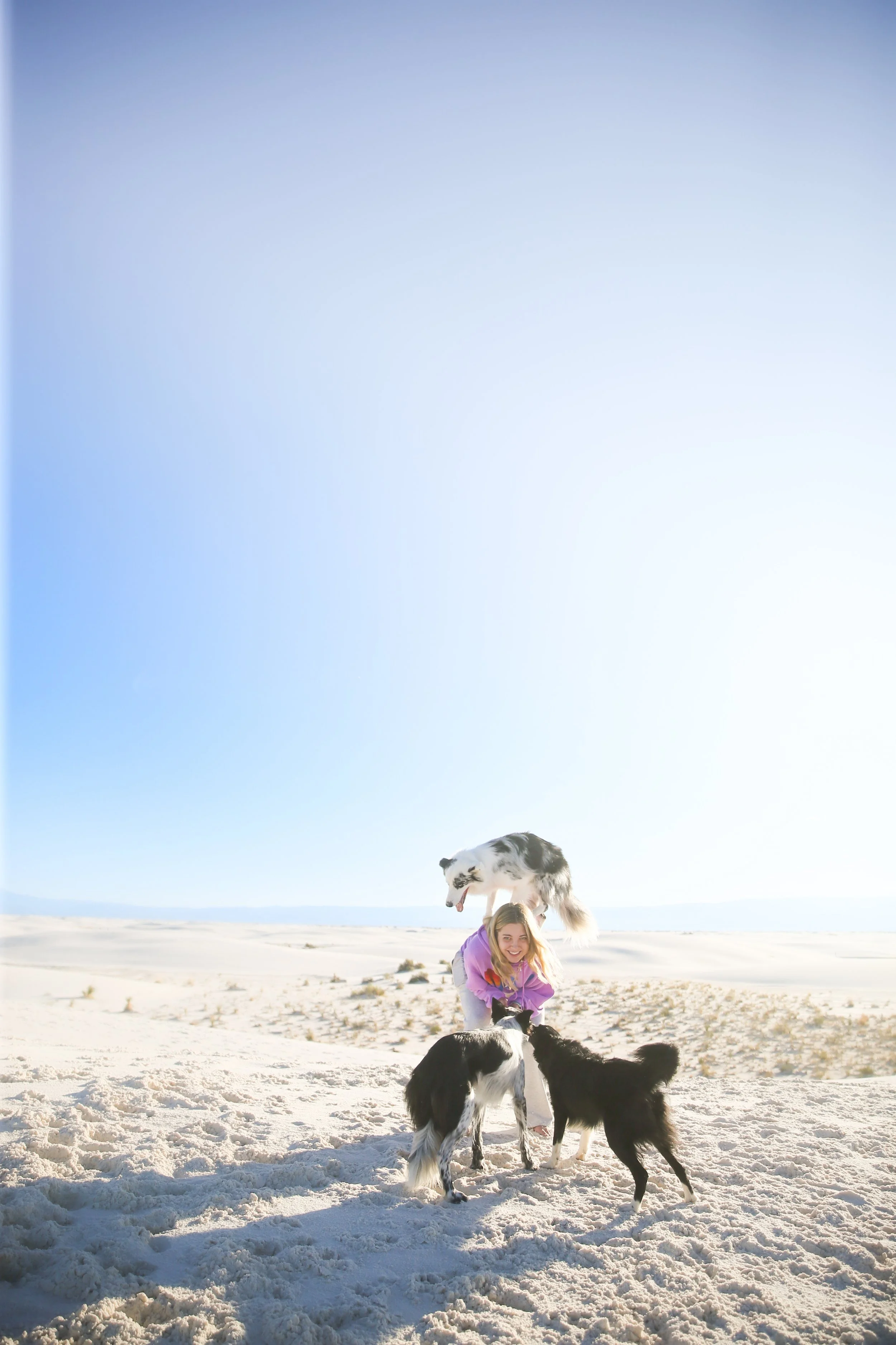A girl in a purple jacket playing with two black and white dogs on a sandy desert landscape under a clear blue sky, with a third dog jumping in the air.