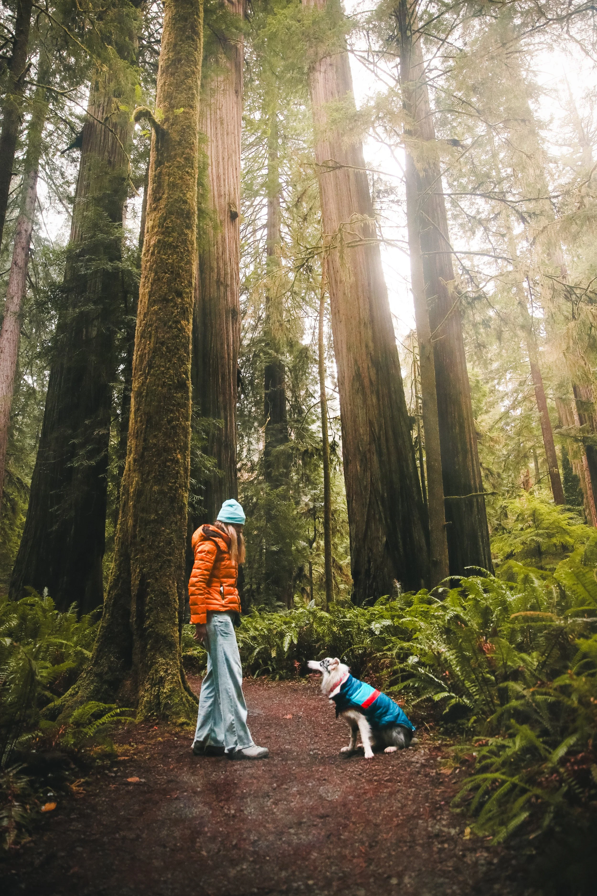 A woman in a blue hat and orange jacket standing on a forest trail, looking at a dog sitting in front of her, with tall trees and green foliage around them.