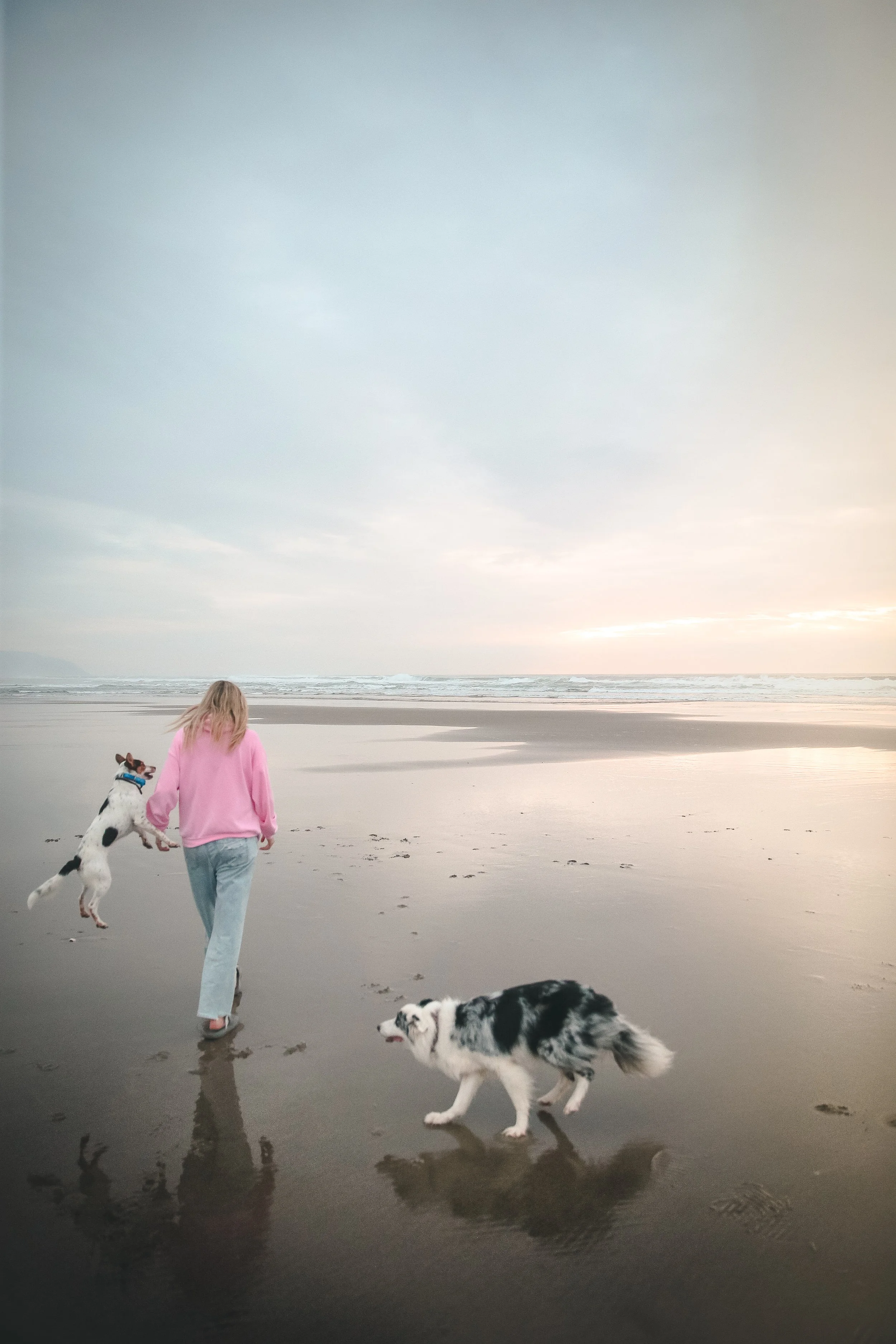 A woman in a pink sweatshirt walking two dogs on a beach during sunrise or sunset.