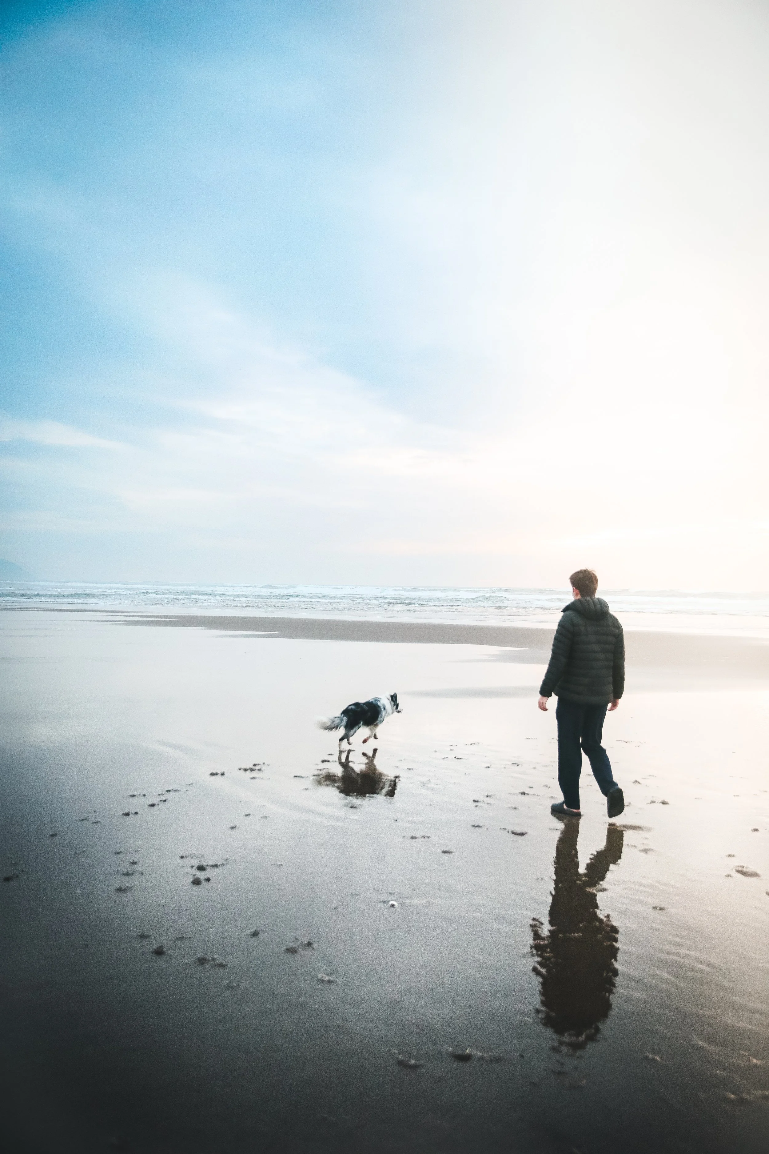 A person walking on a beach with a dog as the tide reflects their images on the wet sand, under a cloudy sky during sunset or sunrise.
