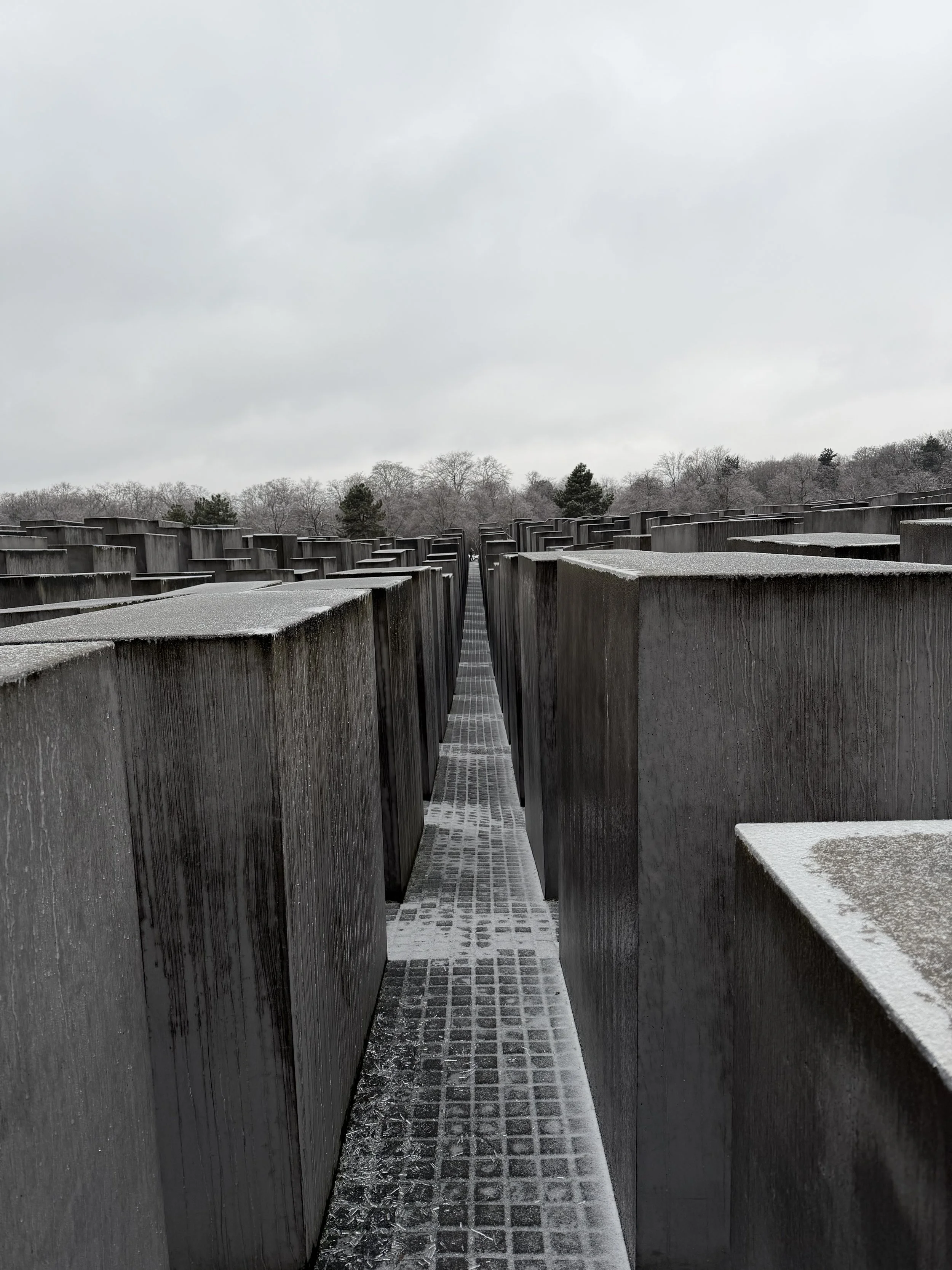  It’s haunting. Not beautiful, just… appropriate. 