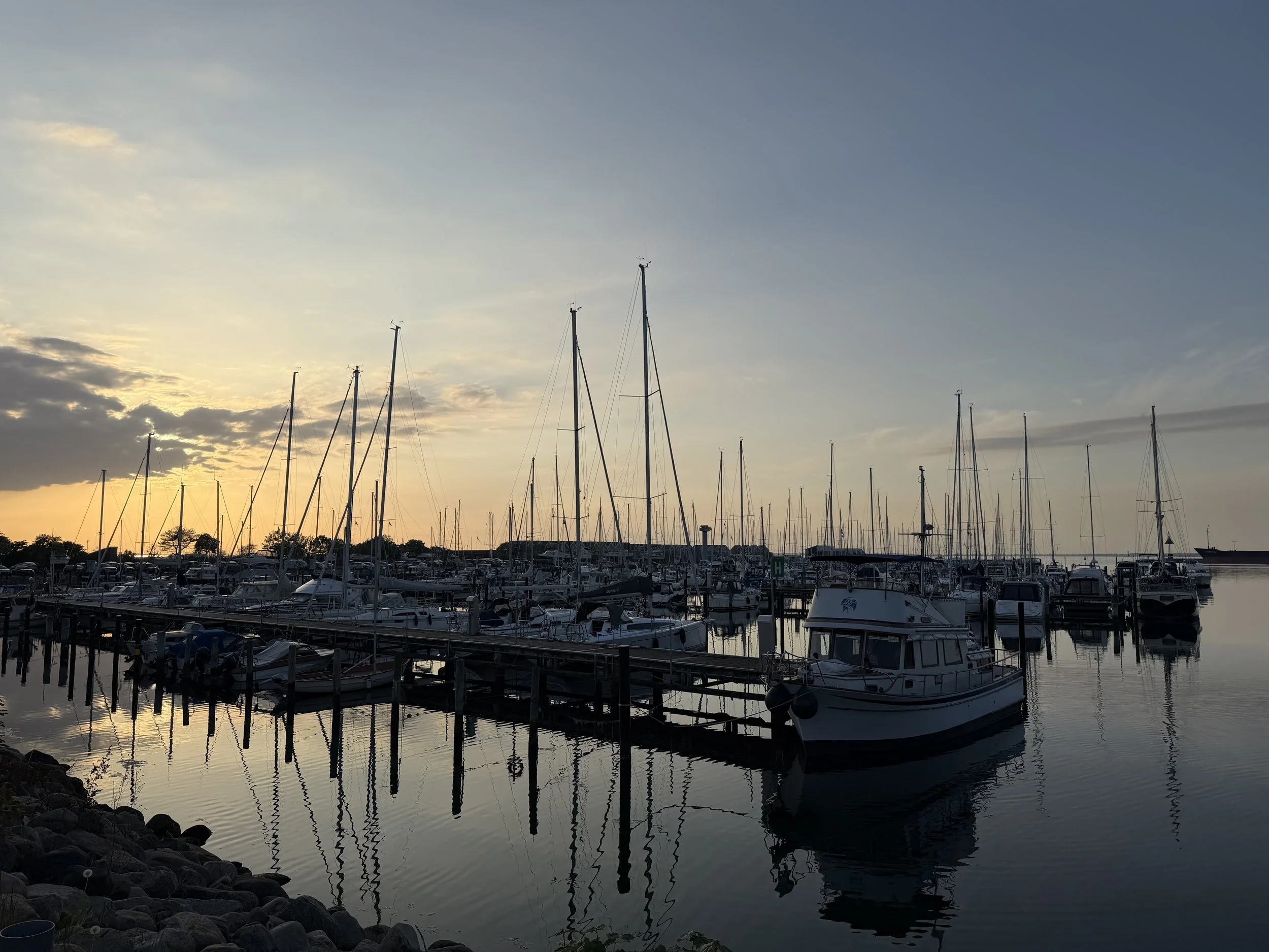 IMG_7012.jpeg
