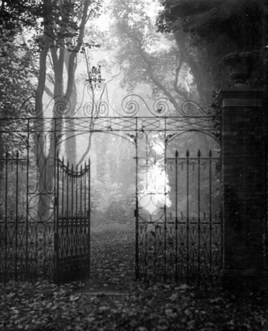 Une clôture en fer forgé avec un portail ouvert, entourée d'arbres et de végétation dans un environnement brumeux.