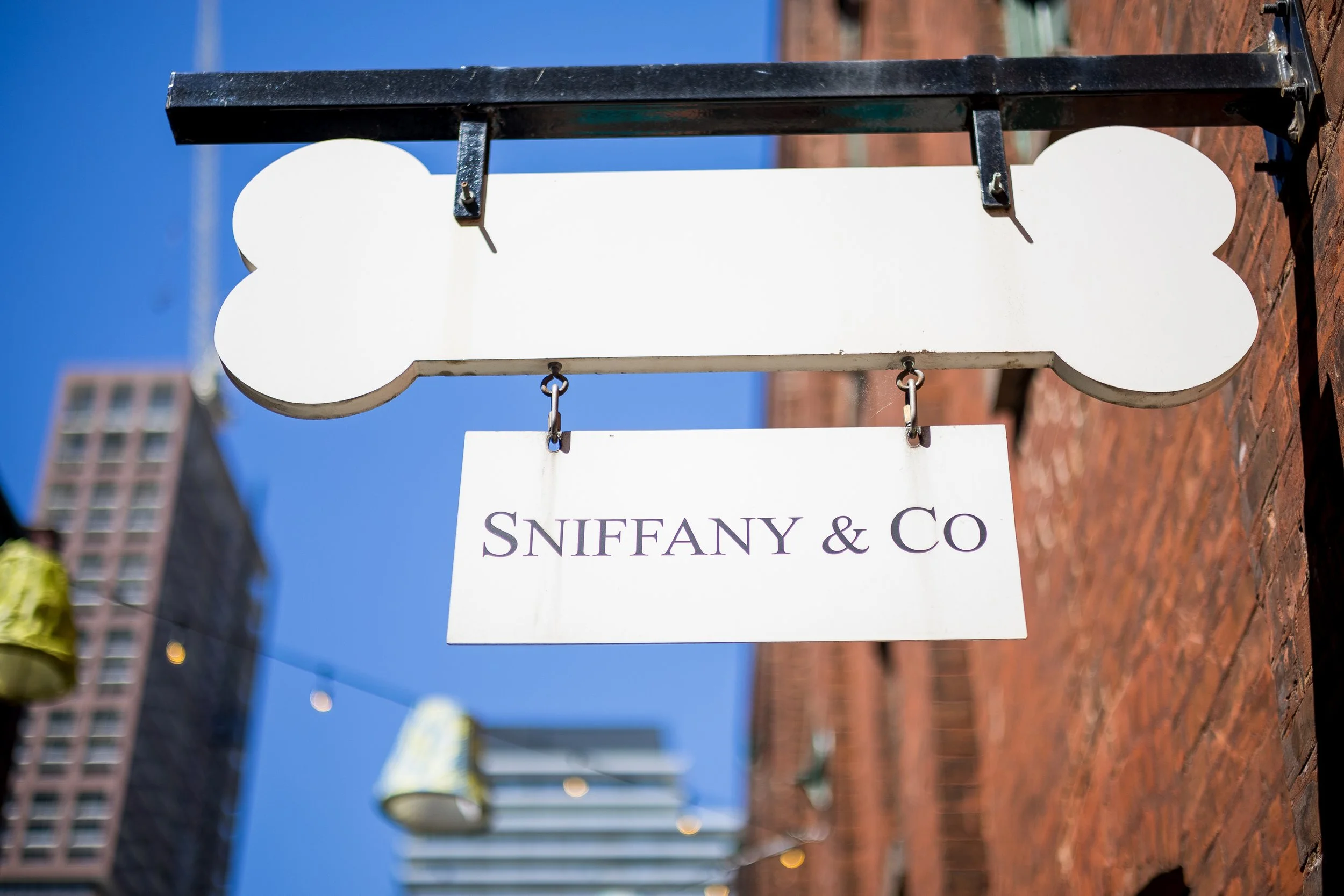 Sniffany.jpg