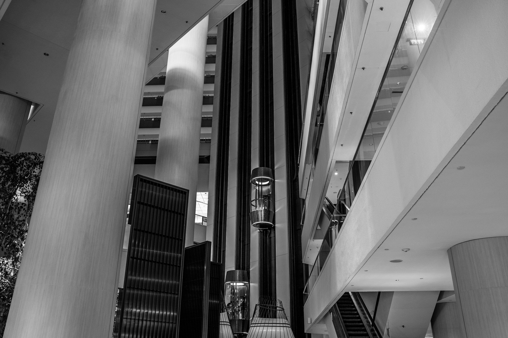 "Verticals at the Pan Pacific"