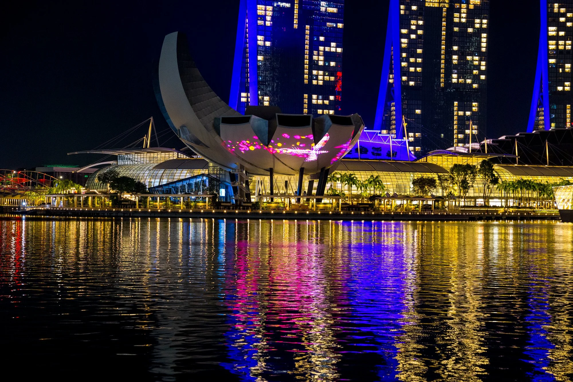 "Marina Bay Reflections"