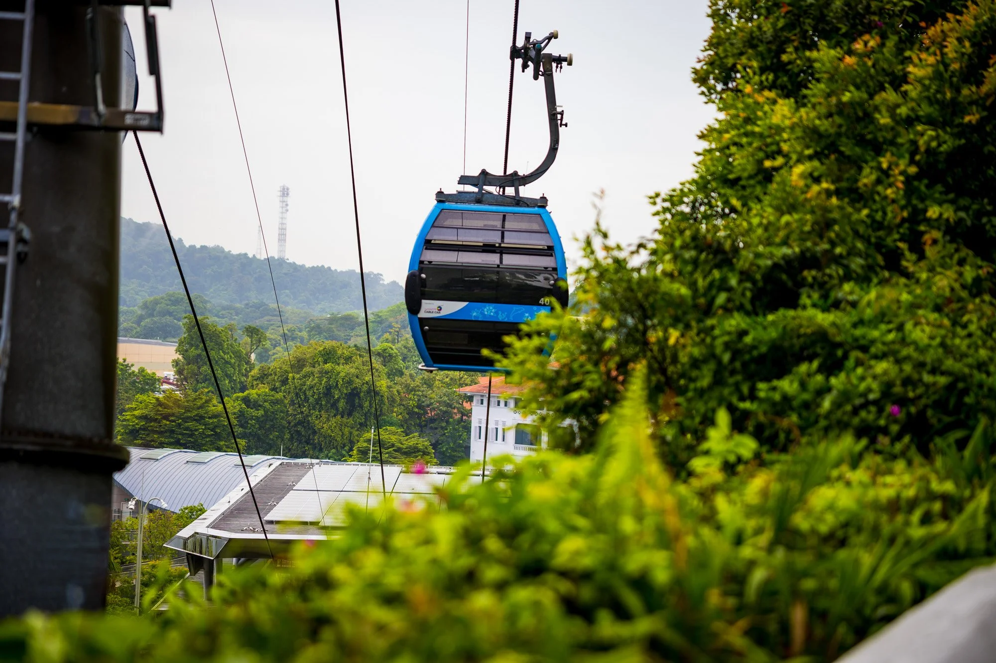 "Gliding Over Green on Sentosa"