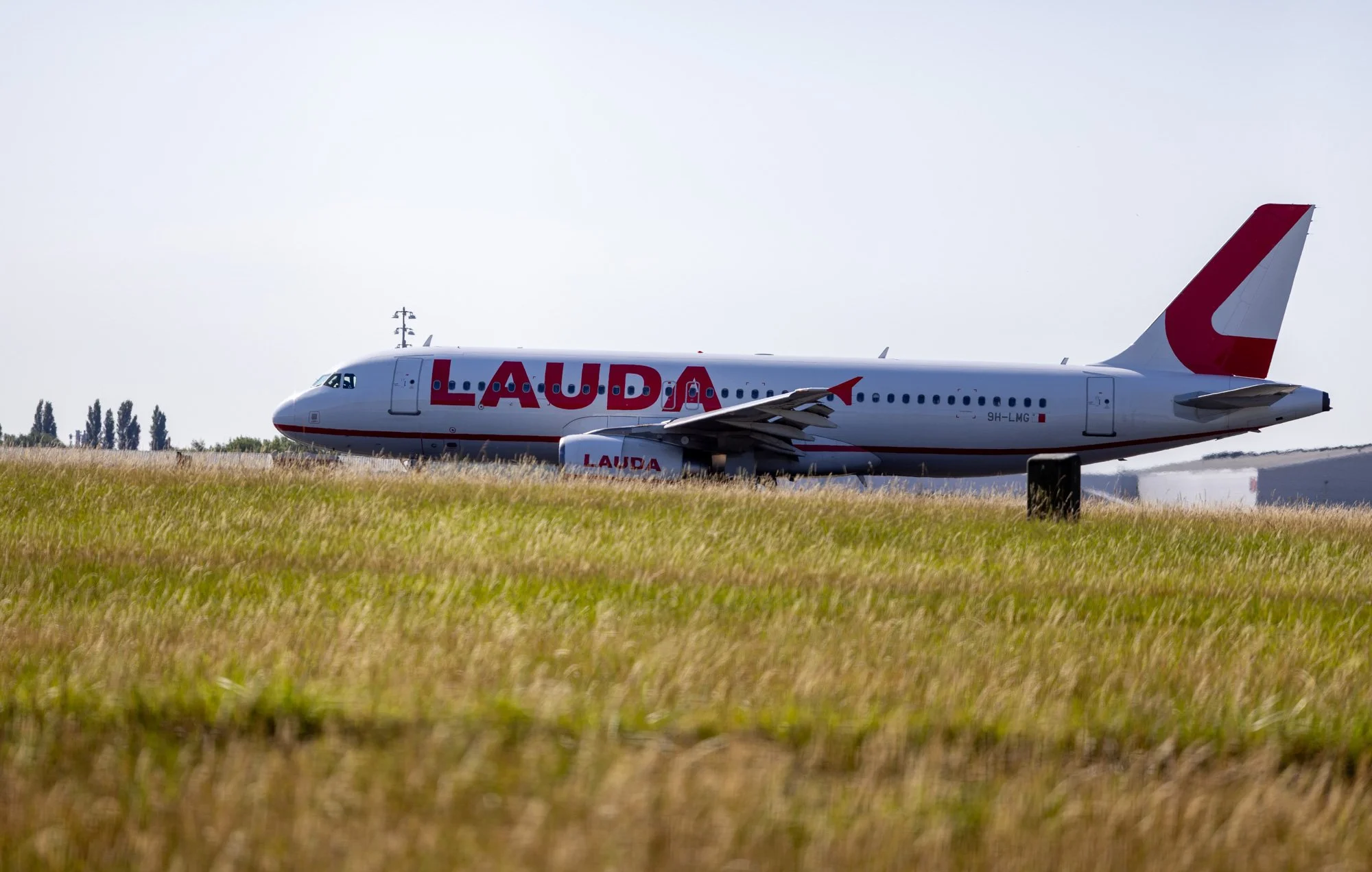"Wings of Lauda"