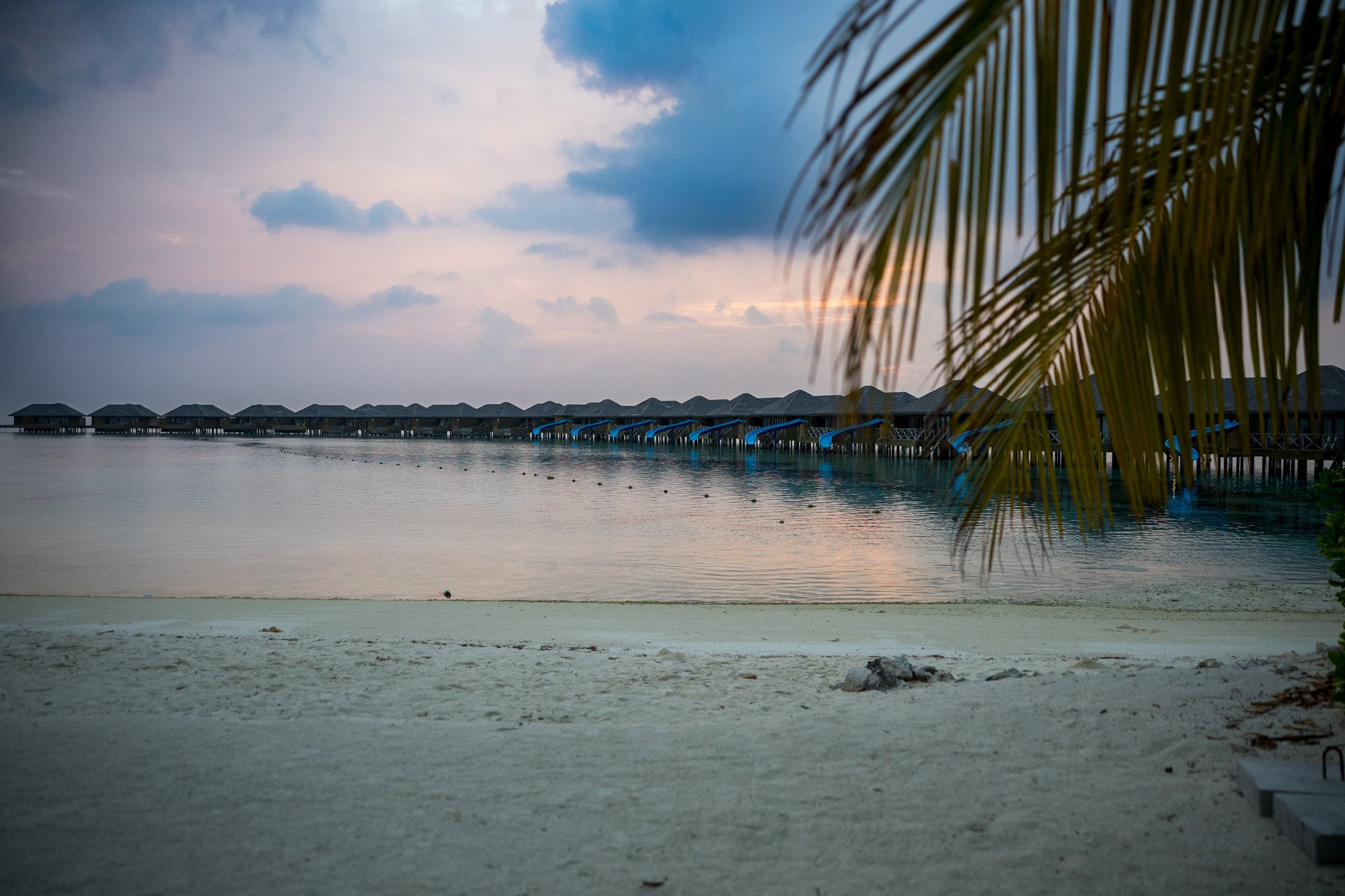 “Where the Ocean Meets Home”